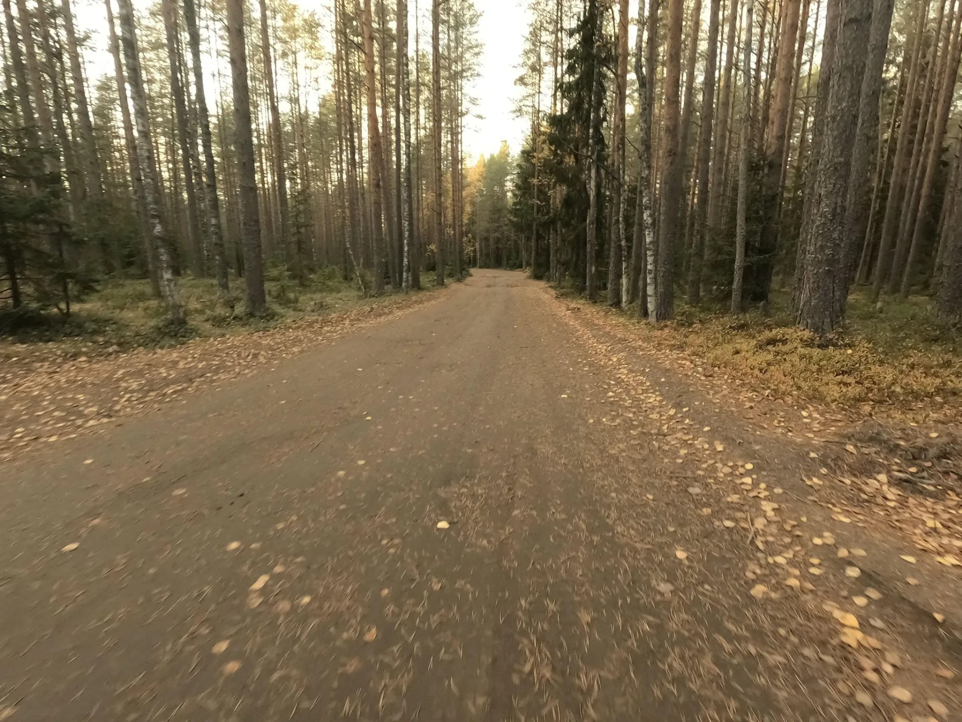 Маршрут «Сестрорецк — Солнечное», 13,2 км