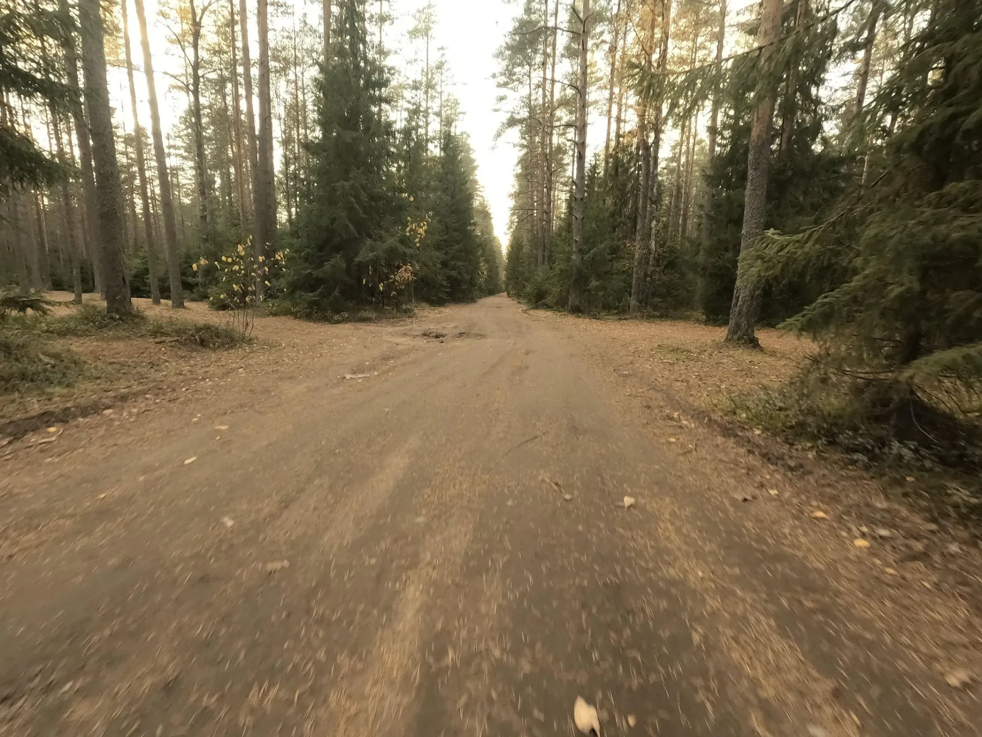 Маршрут «Сестрорецк — Солнечное», 15,0 км