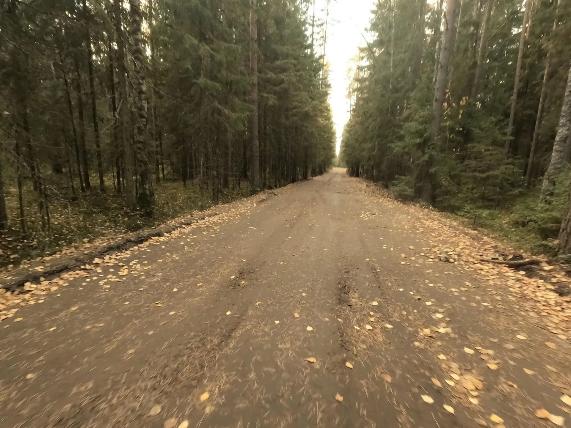 Маршрут «Сестрорецк — Солнечное», 13,4 км