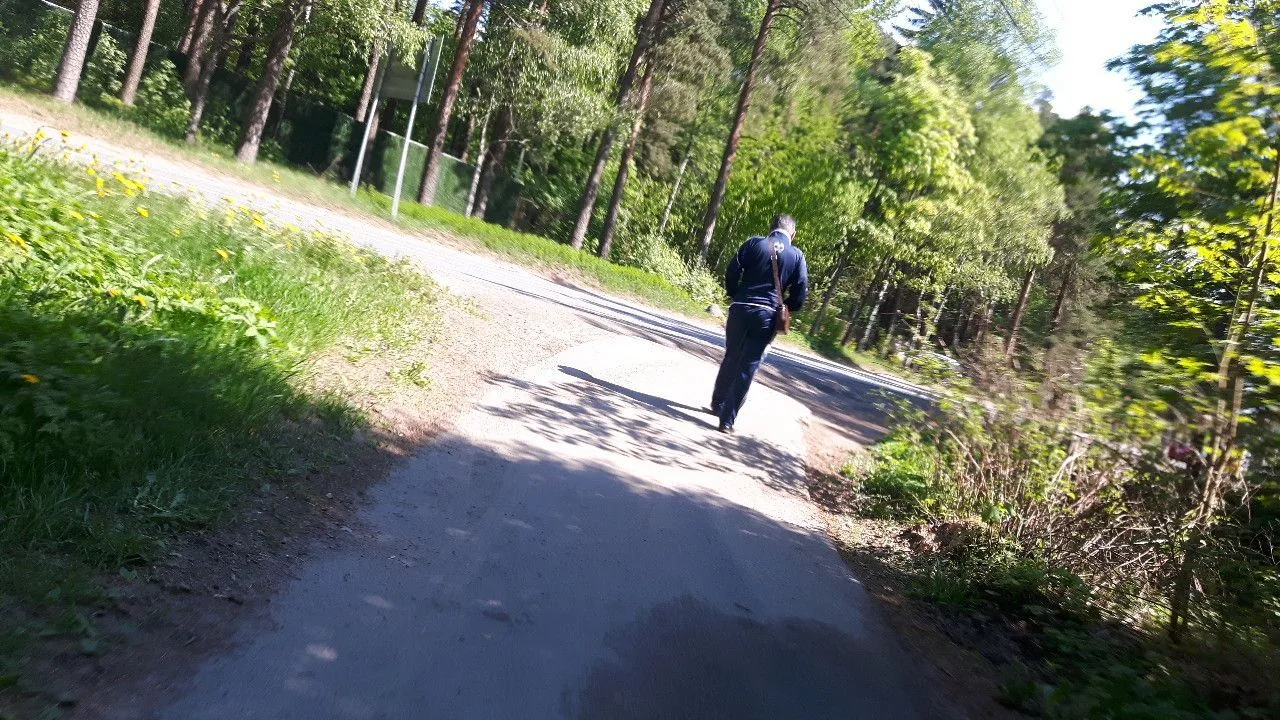 Маршрут «Сестрорецк — Зеленогорск», 17,7 км