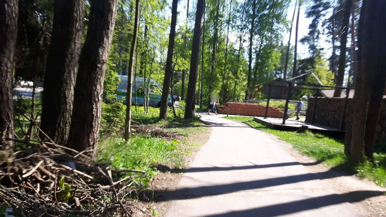 Маршрут «Сестрорецк», 21,5 км