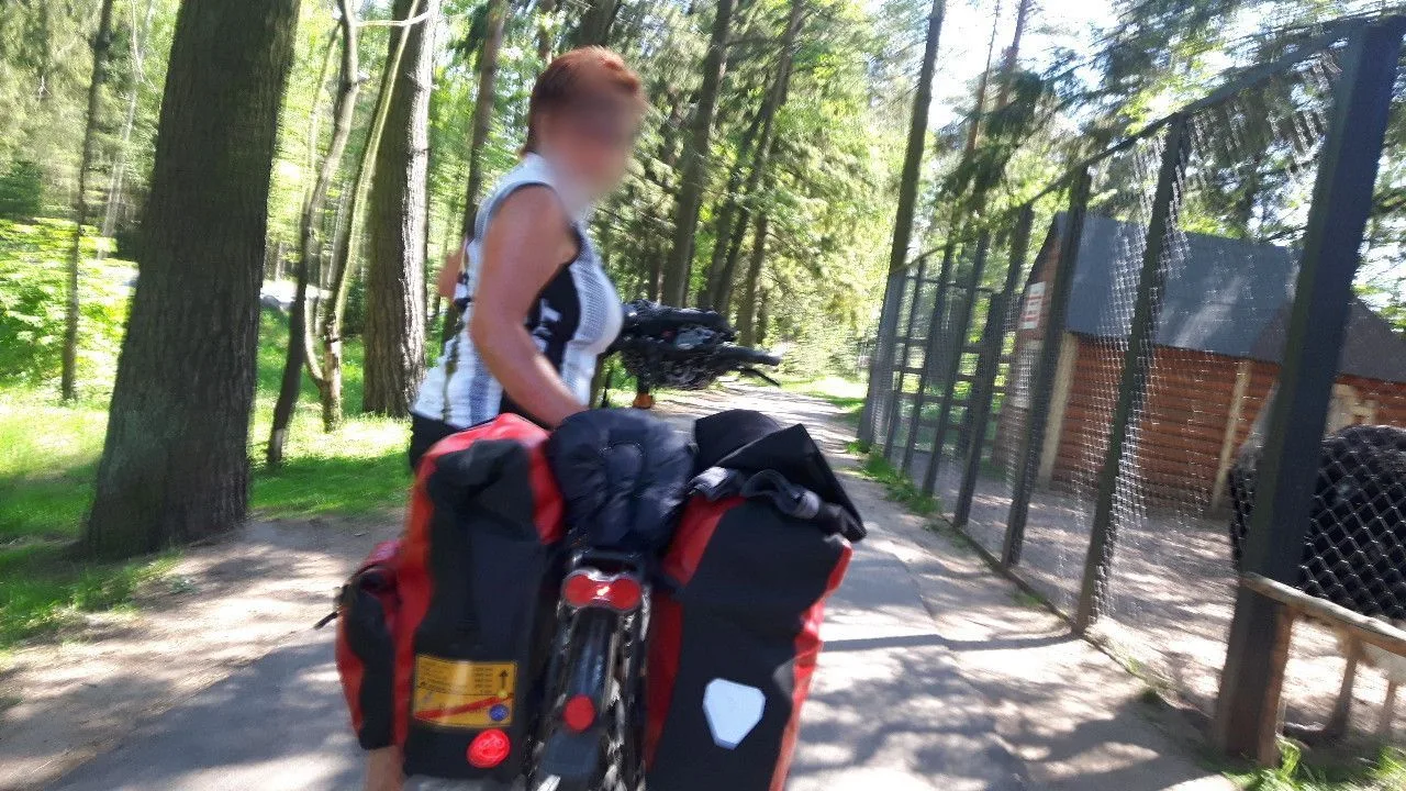 Маршрут «Сестрорецкие дюны», 31,6 км