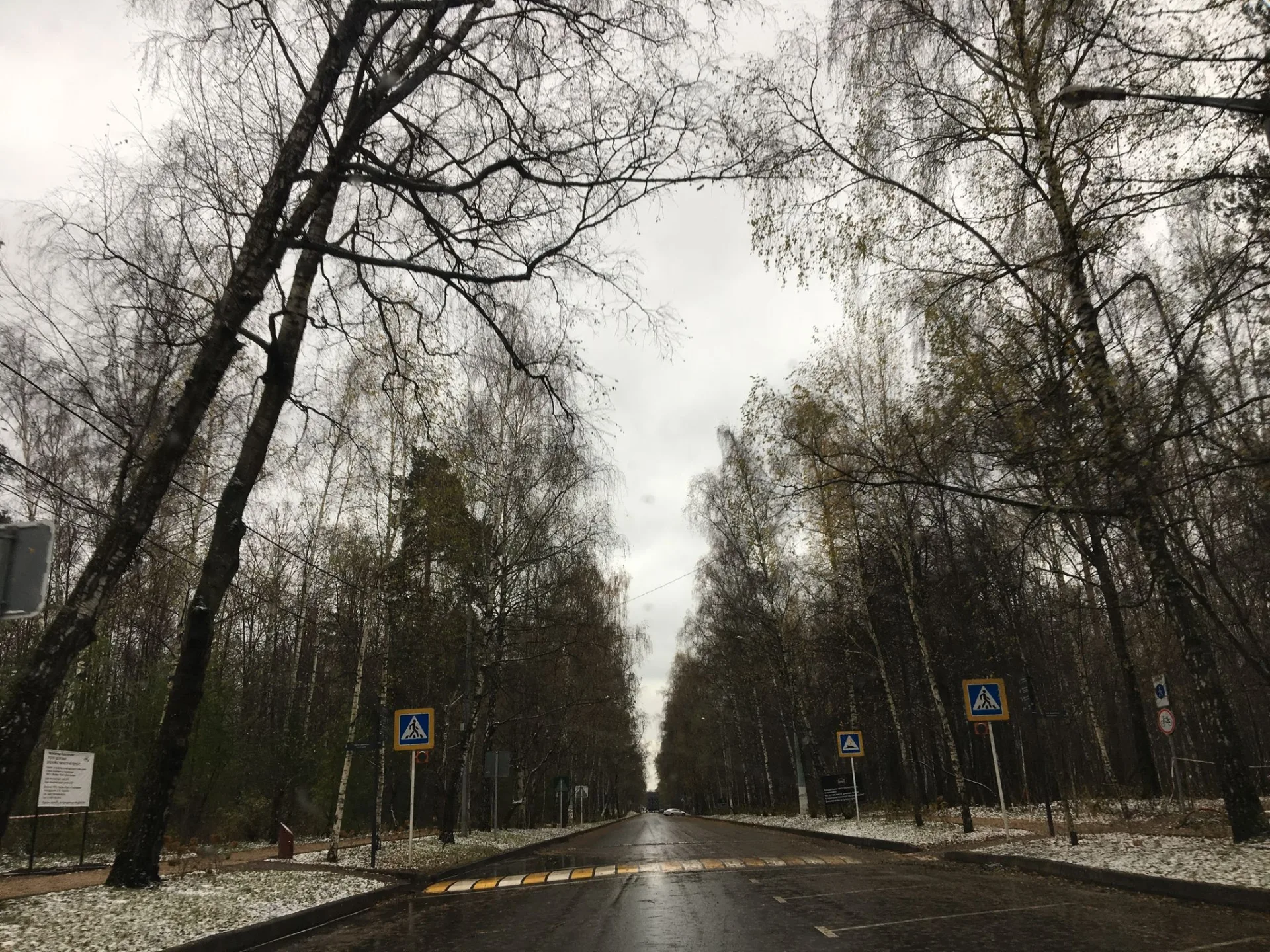 Маршрут «Сокольники — Сокольники», 12,1 км