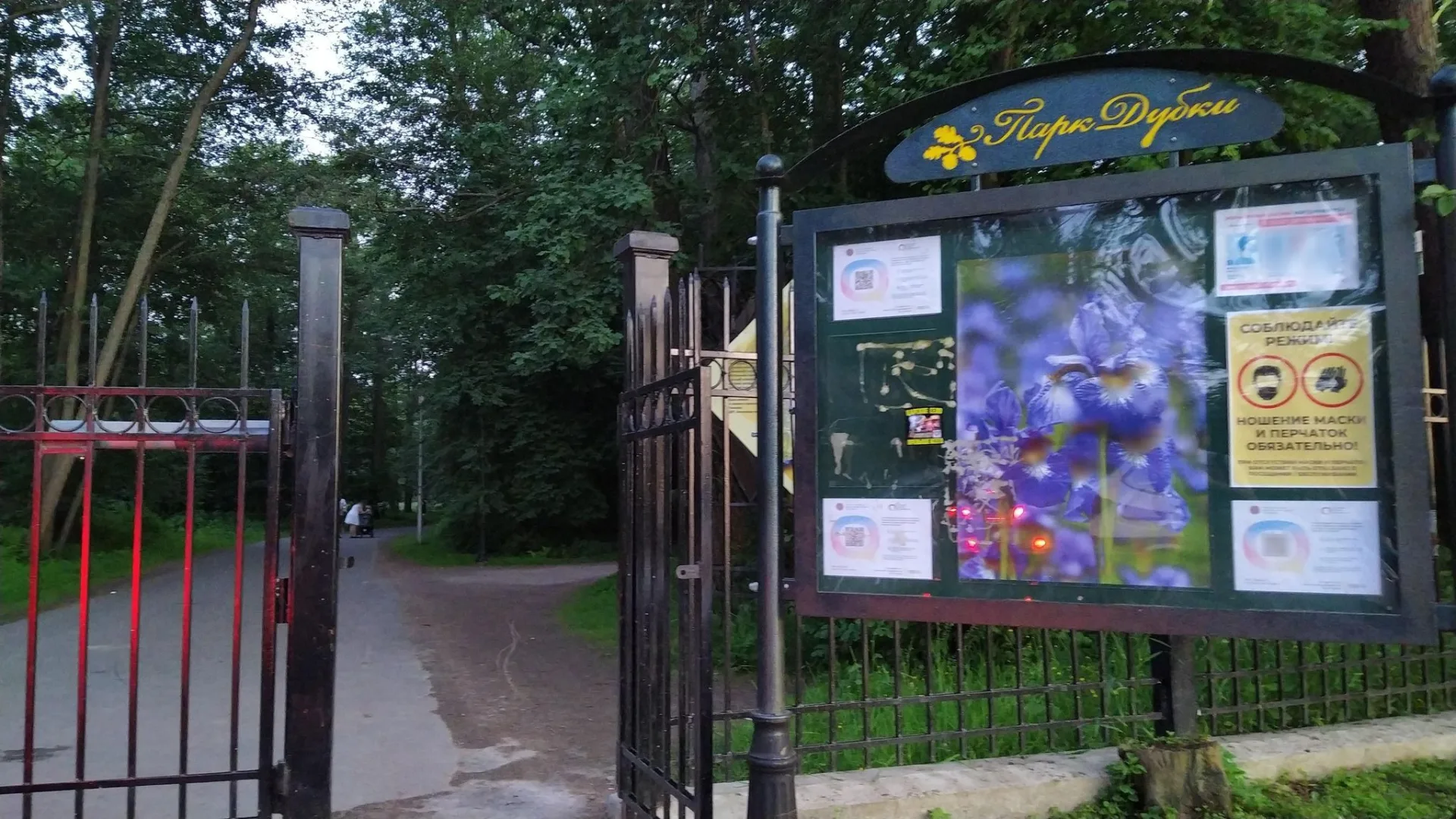 Маршрут «Солнечное — Сестрорецк», 12,9 км