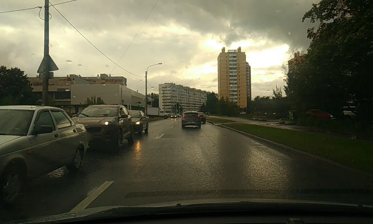 Маршрут «Сосновая Поляна», 1,5 км