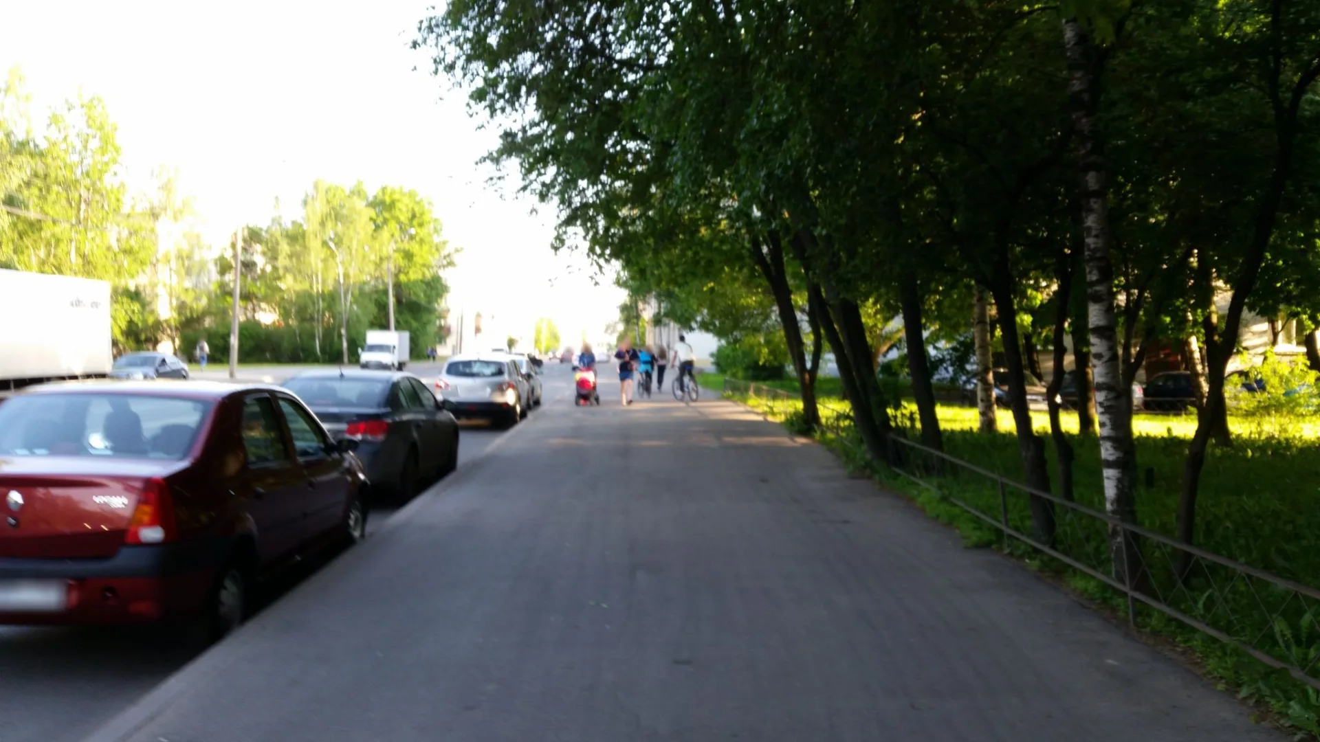 Маршрут «Сосновая Поляна», 0,2 км
