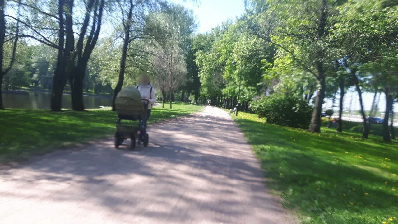 Маршрут «Сосновая Поляна — Лемановский мост», 42,2 км