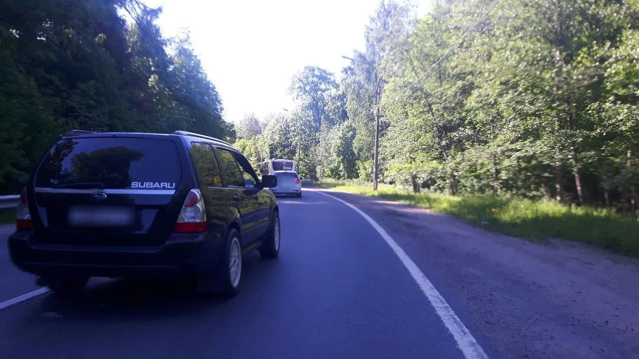 Маршрут «Сосновая Поляна — Лопухинка», 19,5 км