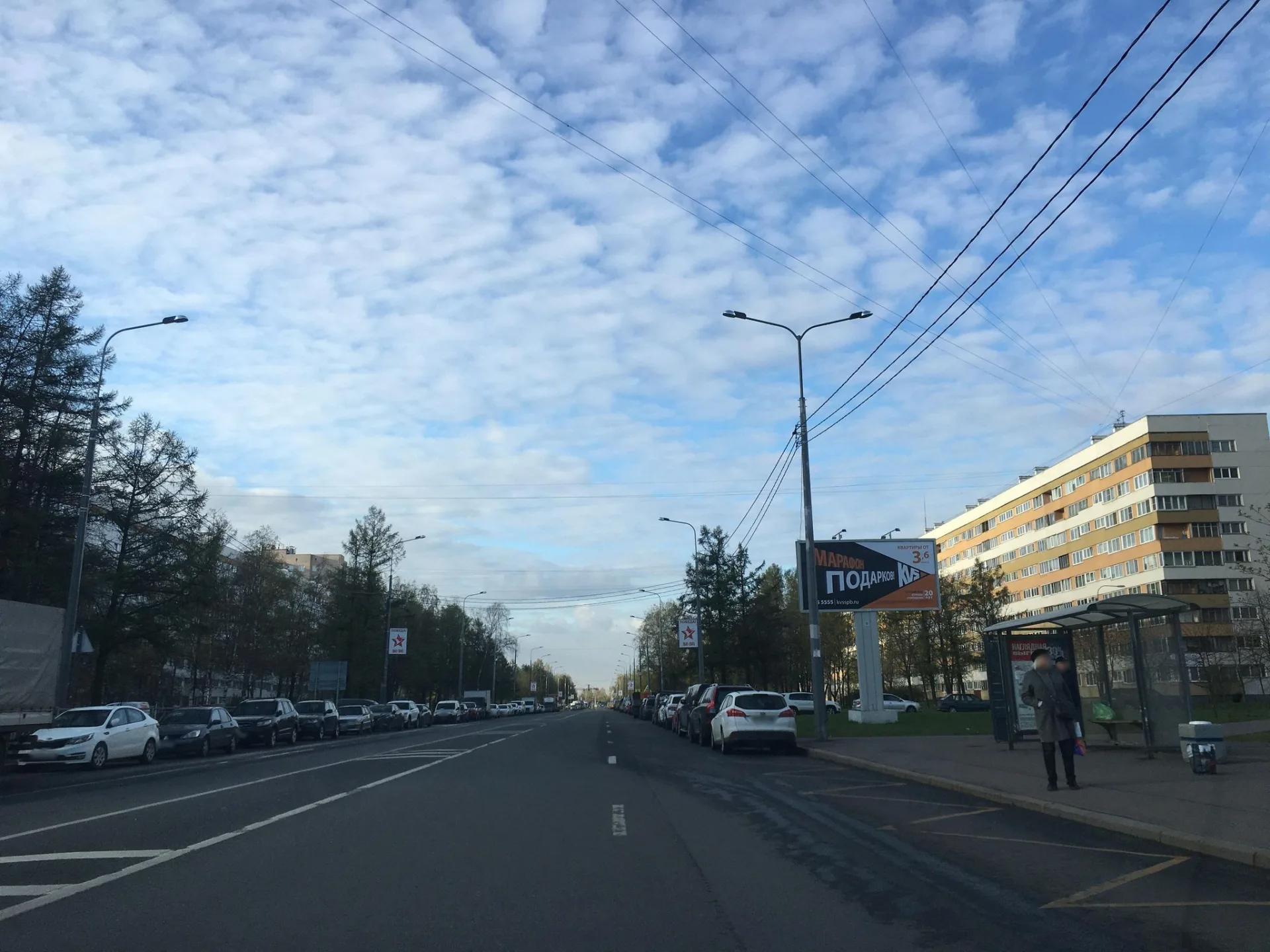 Маршрут «Сосновая Поляна — Мост Ветеранов», 1,9 км