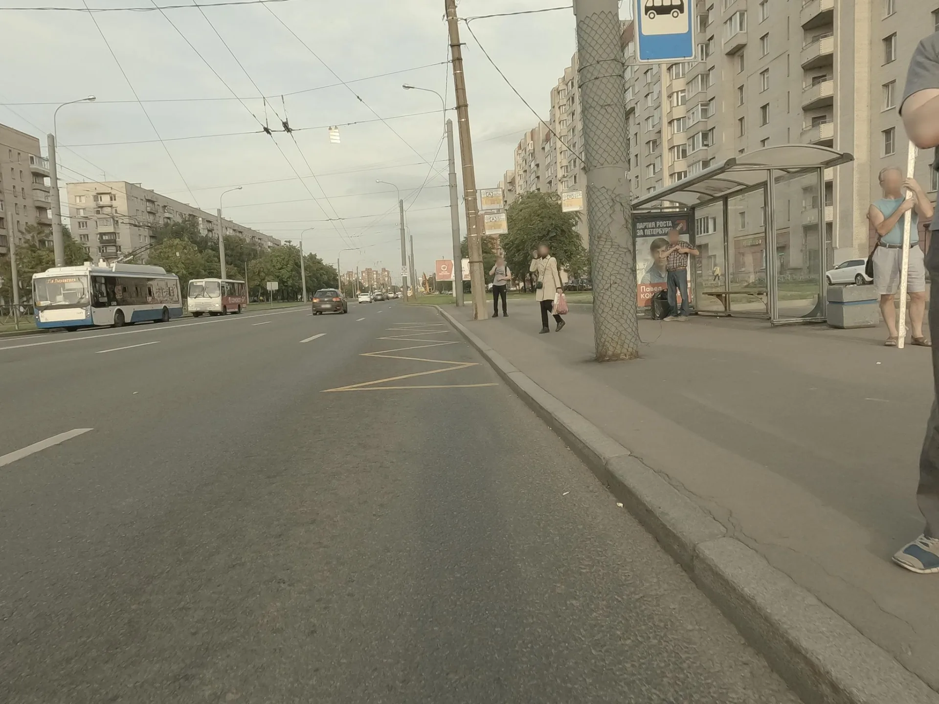Маршрут «Сосновая Поляна — Мост Ветеранов», 7,1 км
