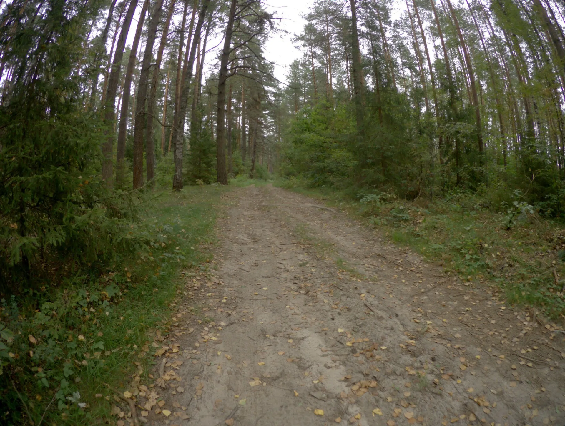 Маршрут «Спас Купалище — Богданцево», 64,7 км