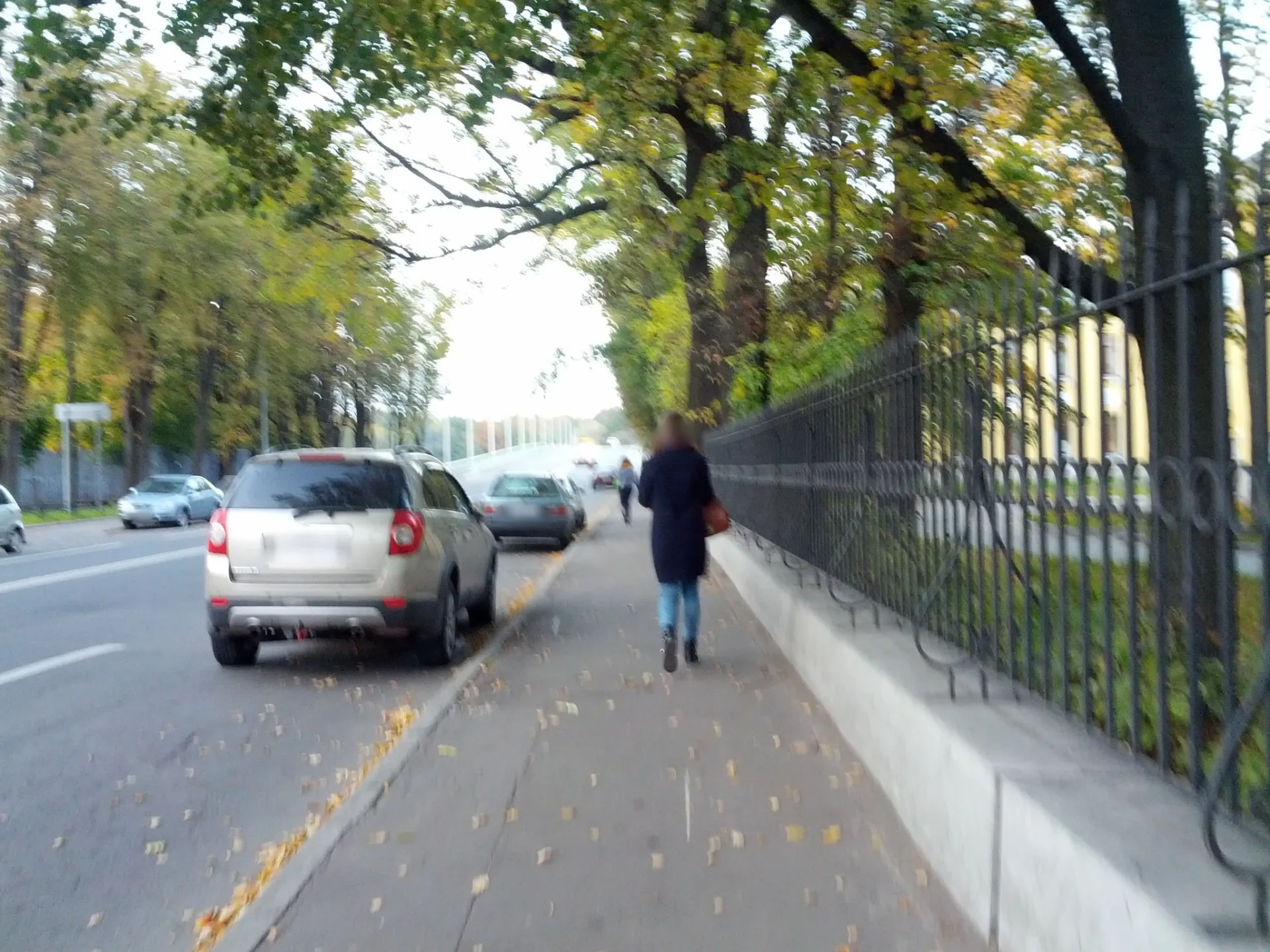 Маршрут «Старая Деревня — Северный городок», 17,3 км