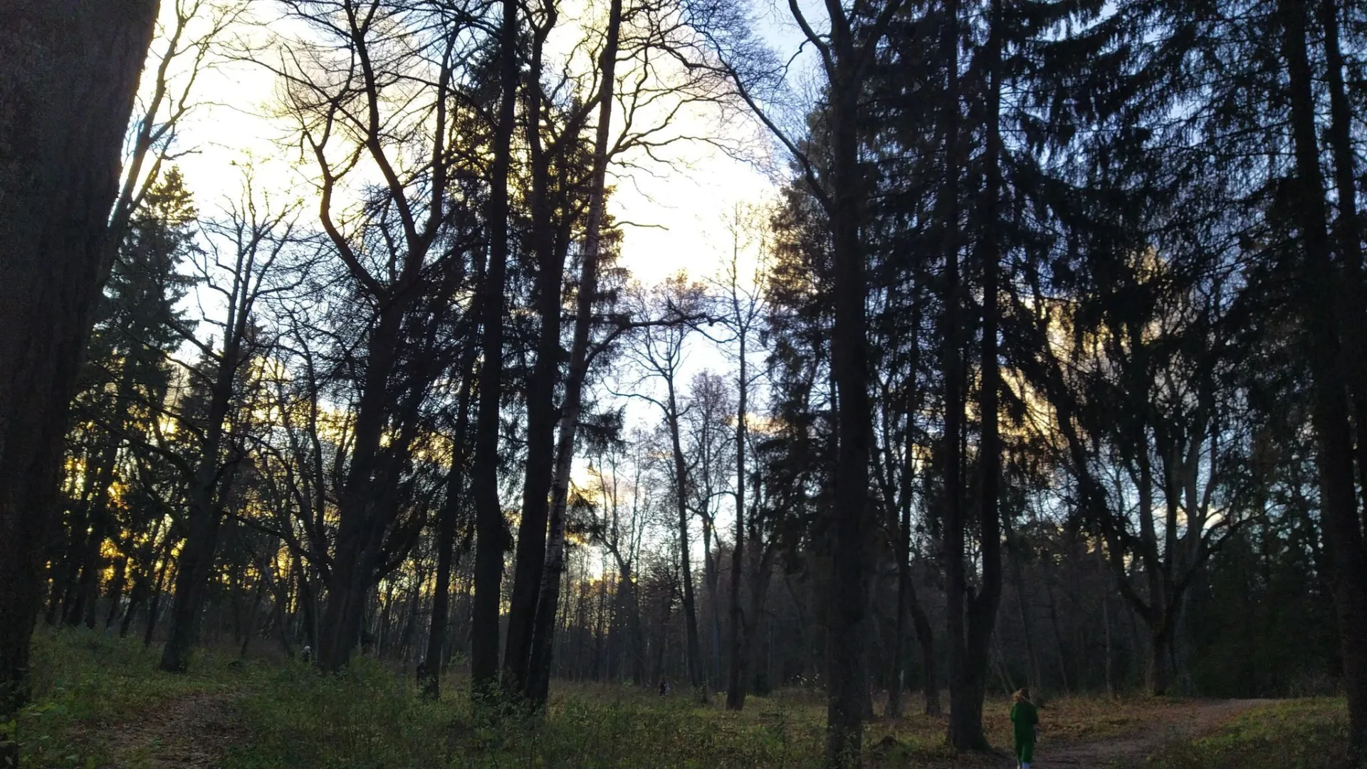 Маршрут «Шуваловский парк — Памятник», 0,1 км