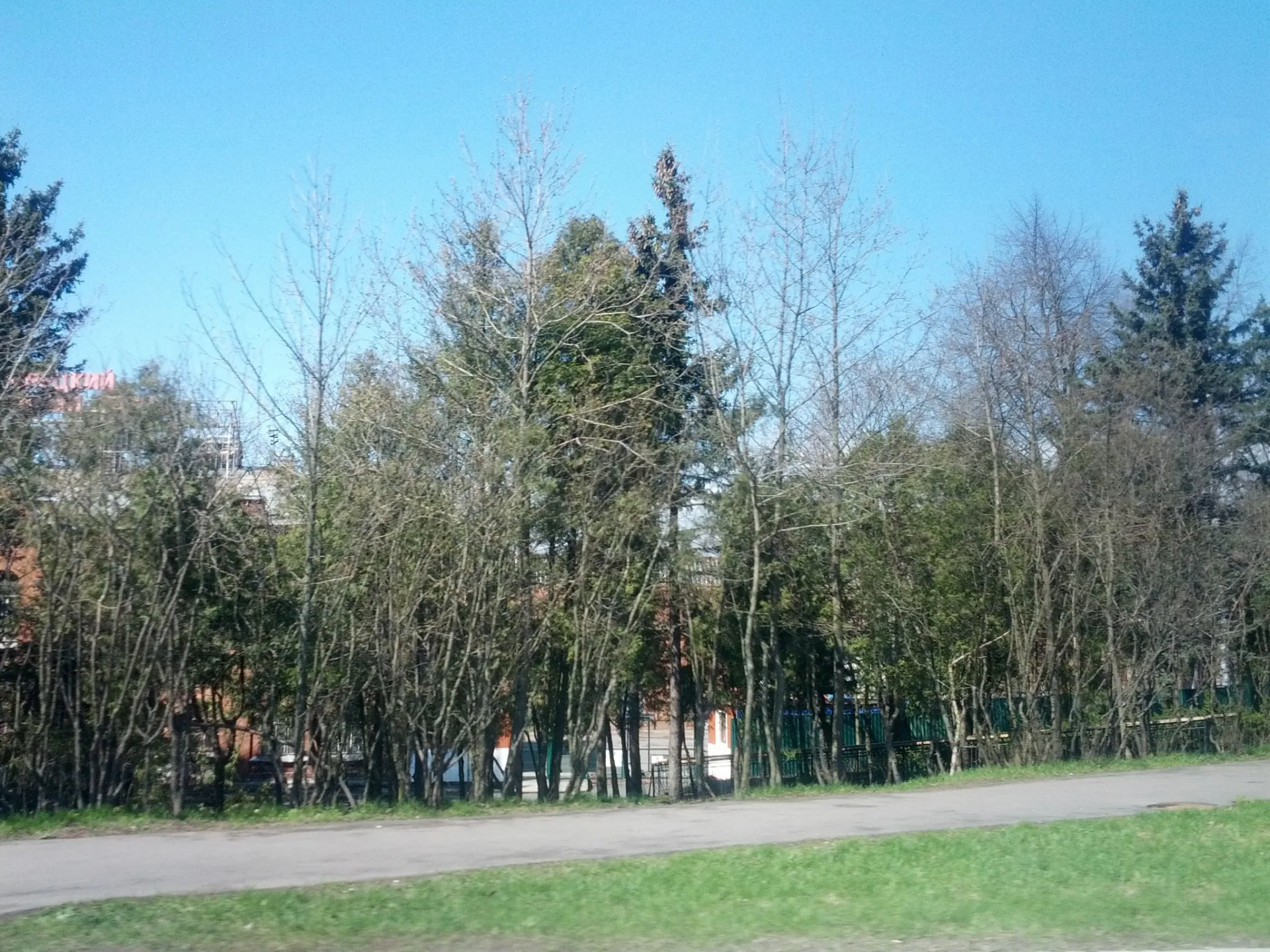 Маршрут «Тарховка — Разлив», 28,6 км