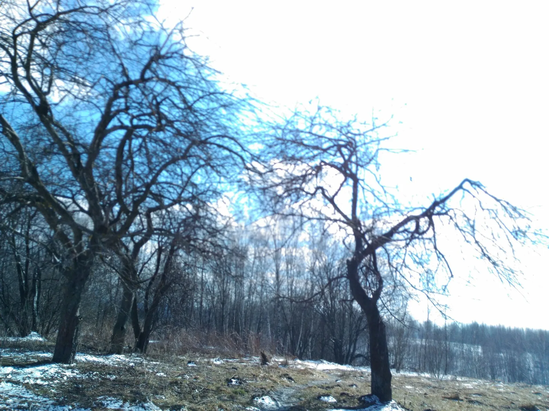 Маршрут «Татарово — Акулово», 1,2 км