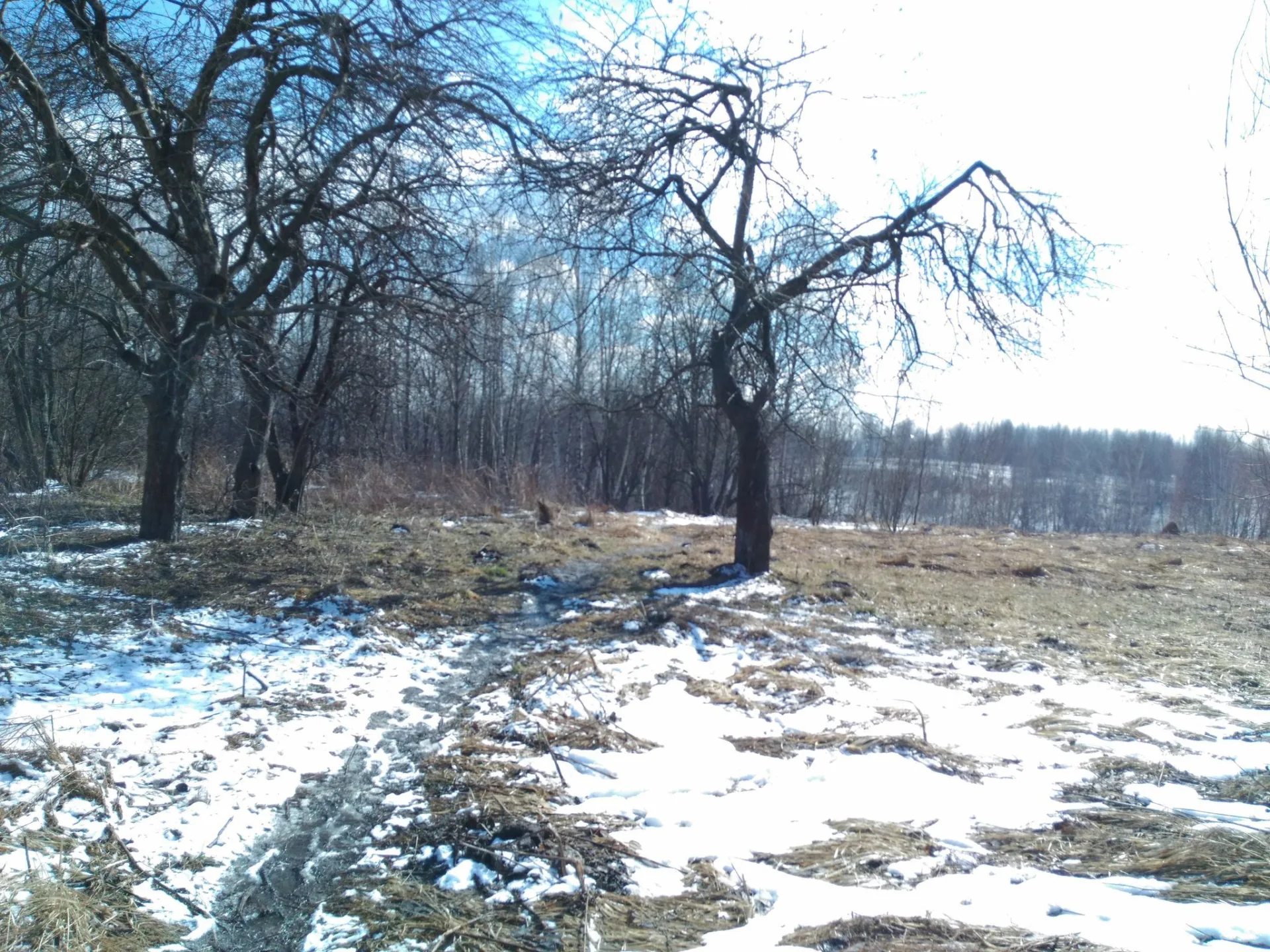 Маршрут «Татарово», 2,0 км