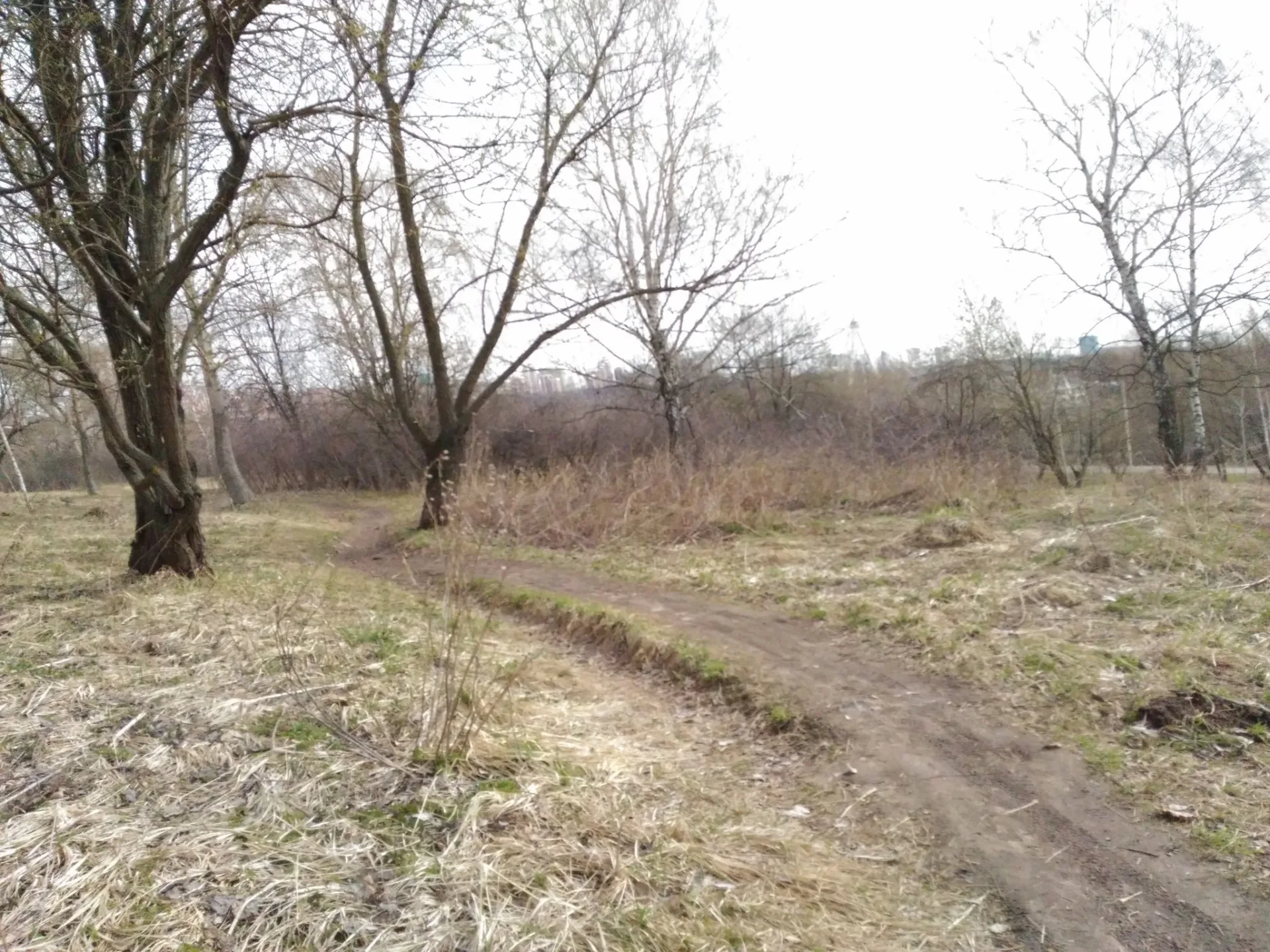 Маршрут «Татарово», 5,3 км