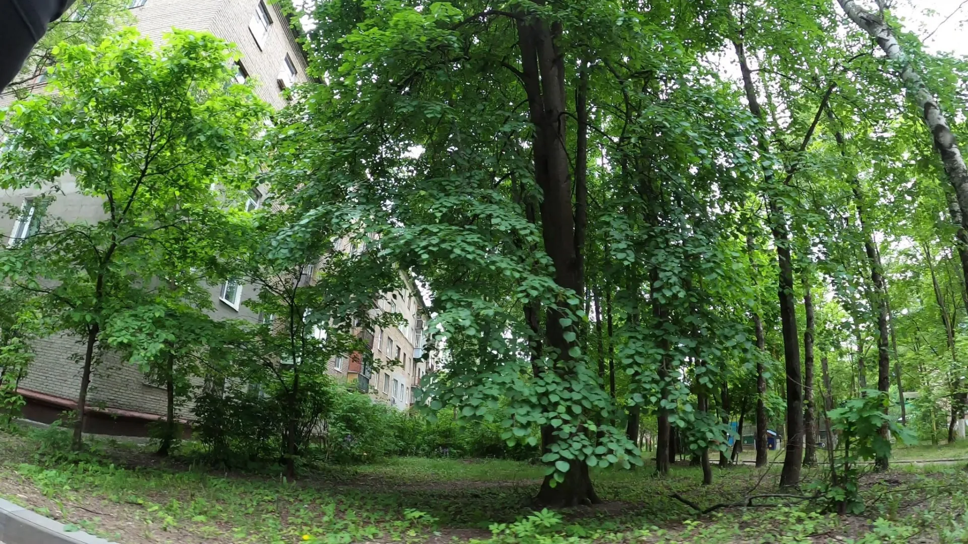 Маршрут «Текстильщик», 0,0 км