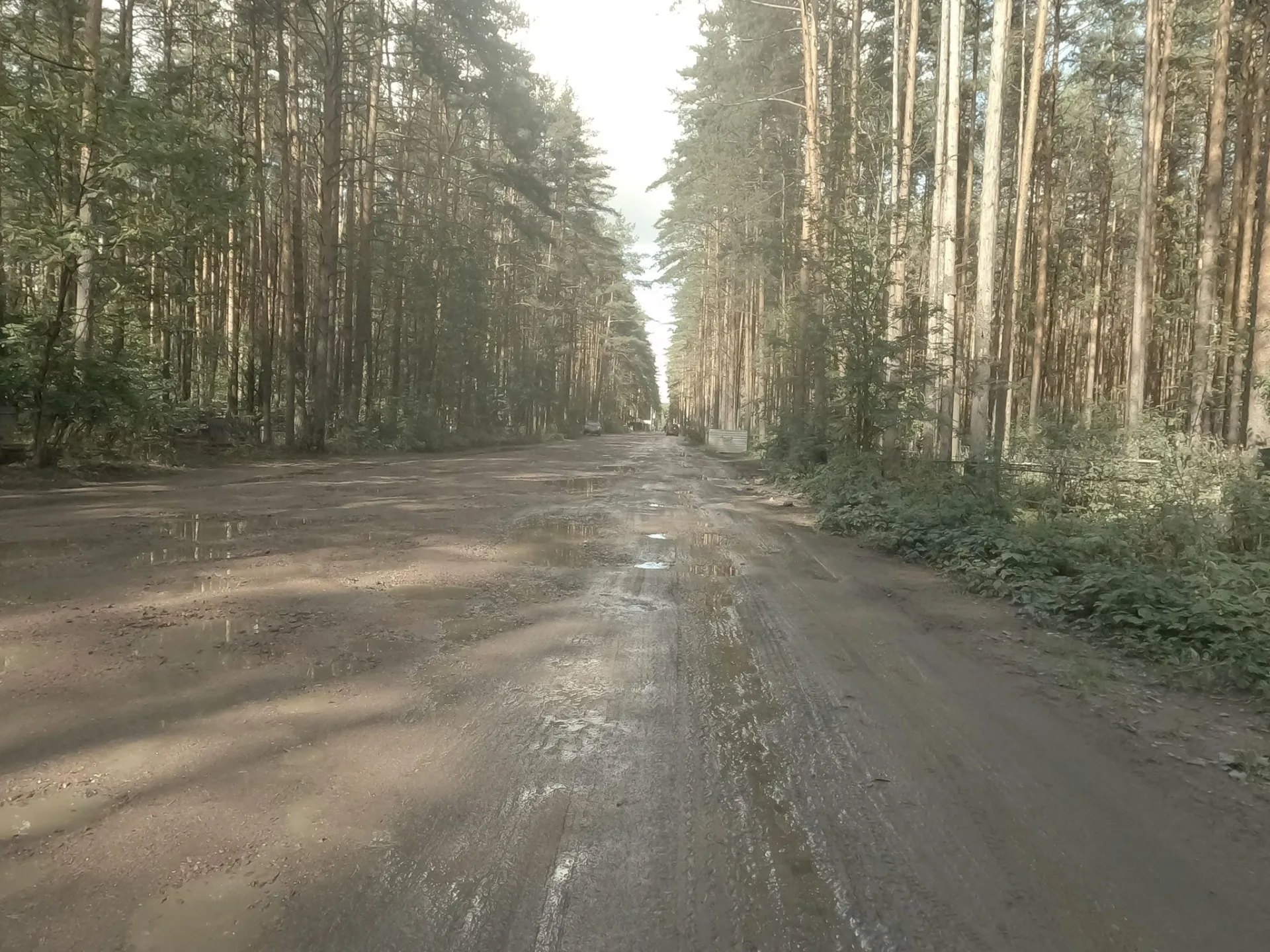 Маршрут «Токсово — Бугры», 15,7 км