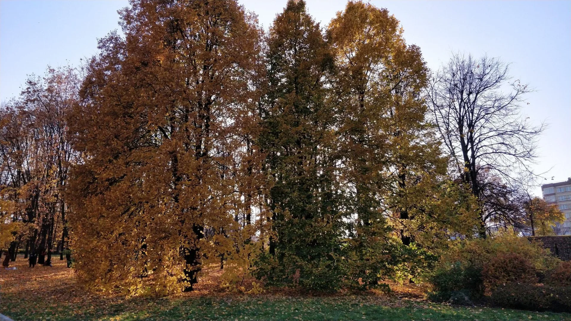 Маршрут «Троицкое», 6,3 км
