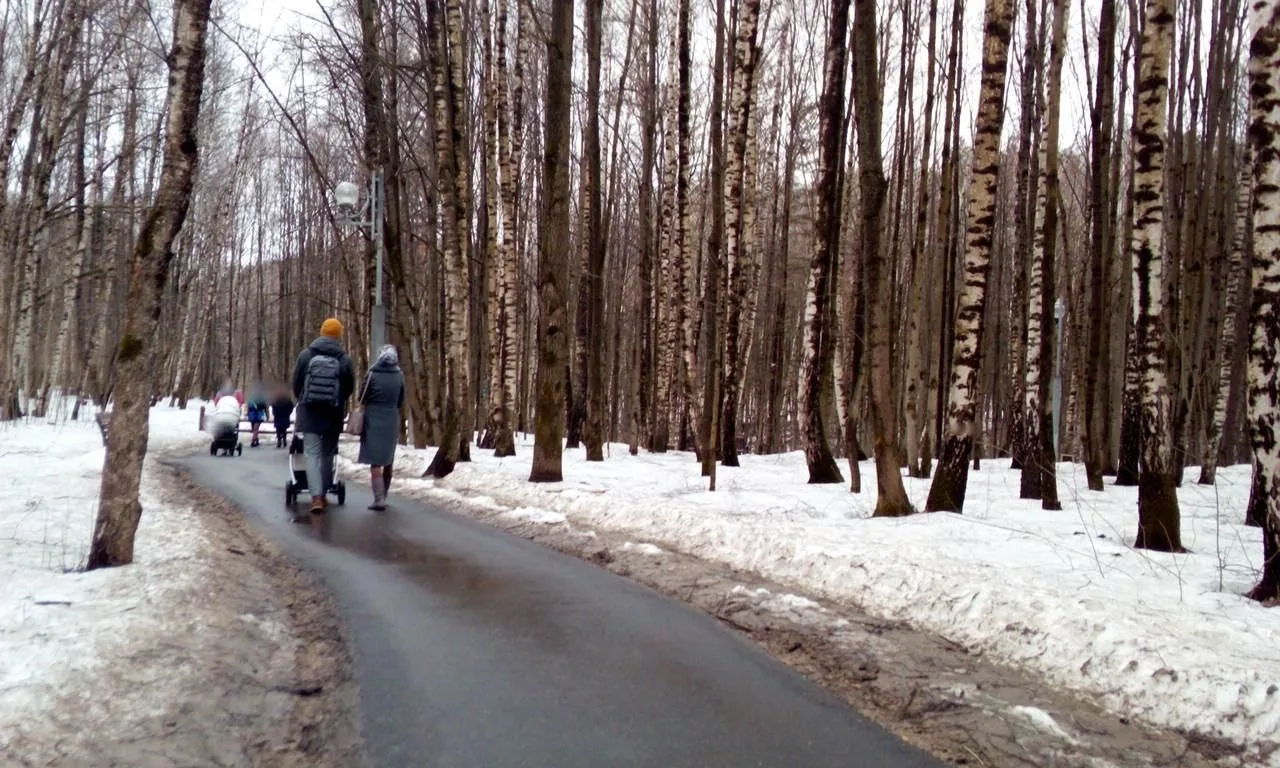 Маршрут «Тропарево — Флора», 8,4 км