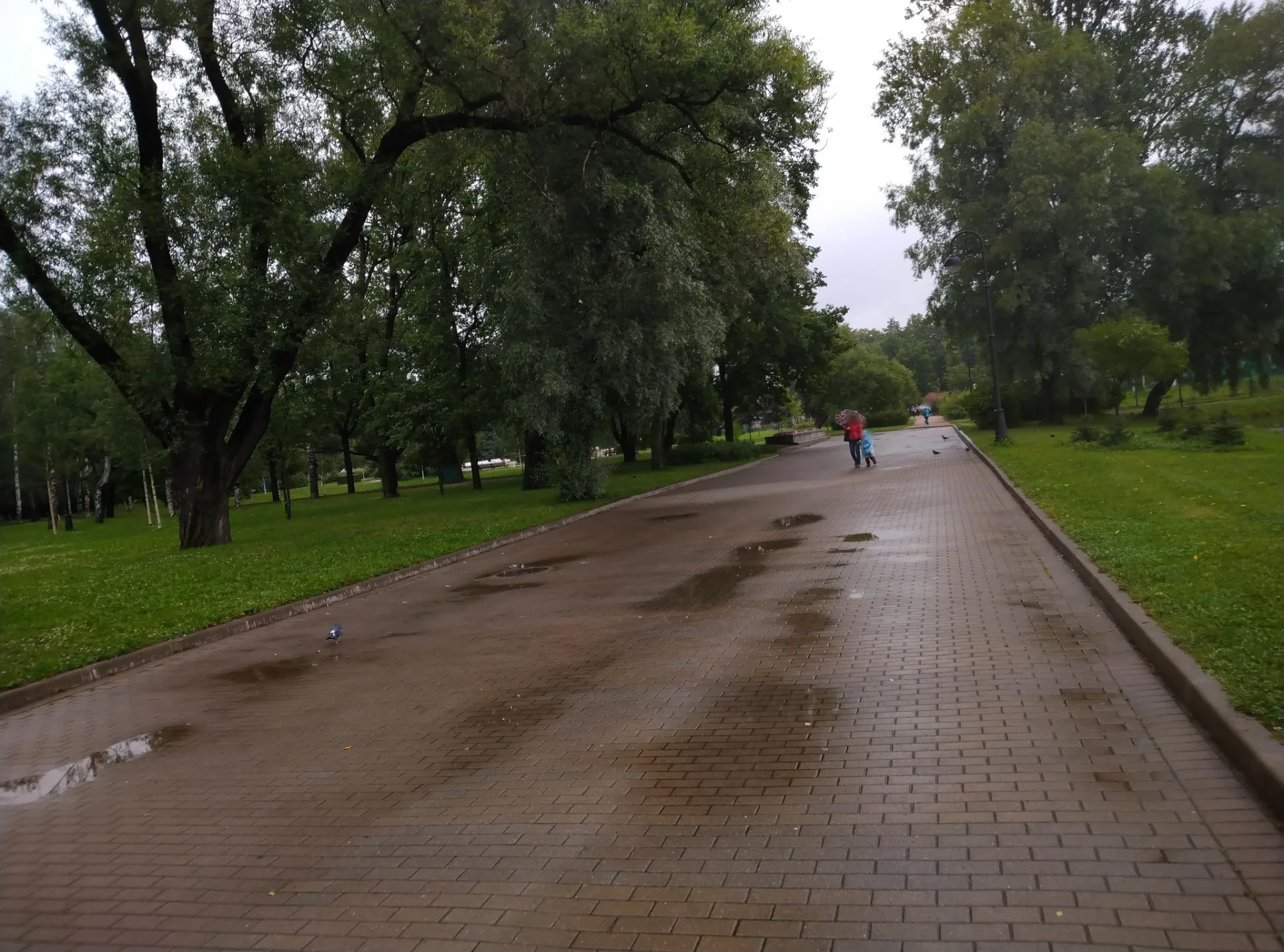 Маршрут «Тула», 4,8 км