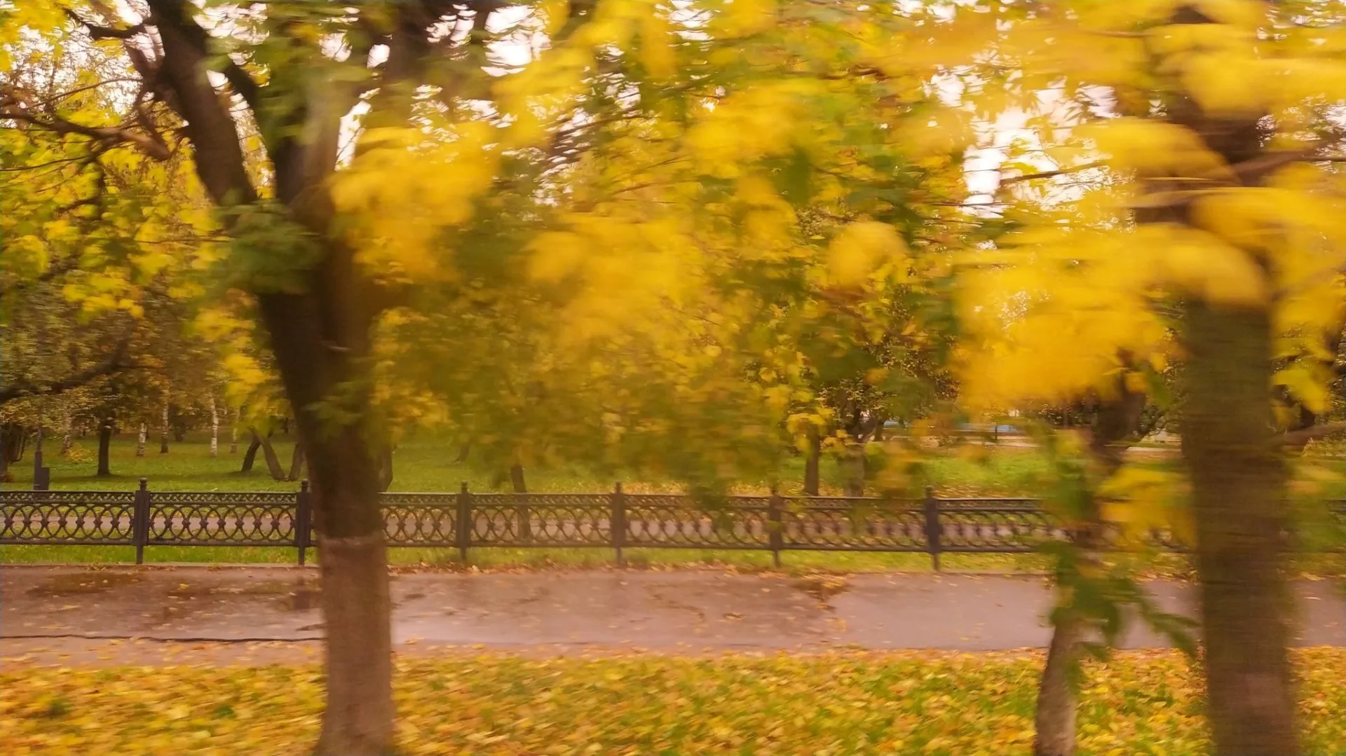 Маршрут «Тверь», 3,8 км