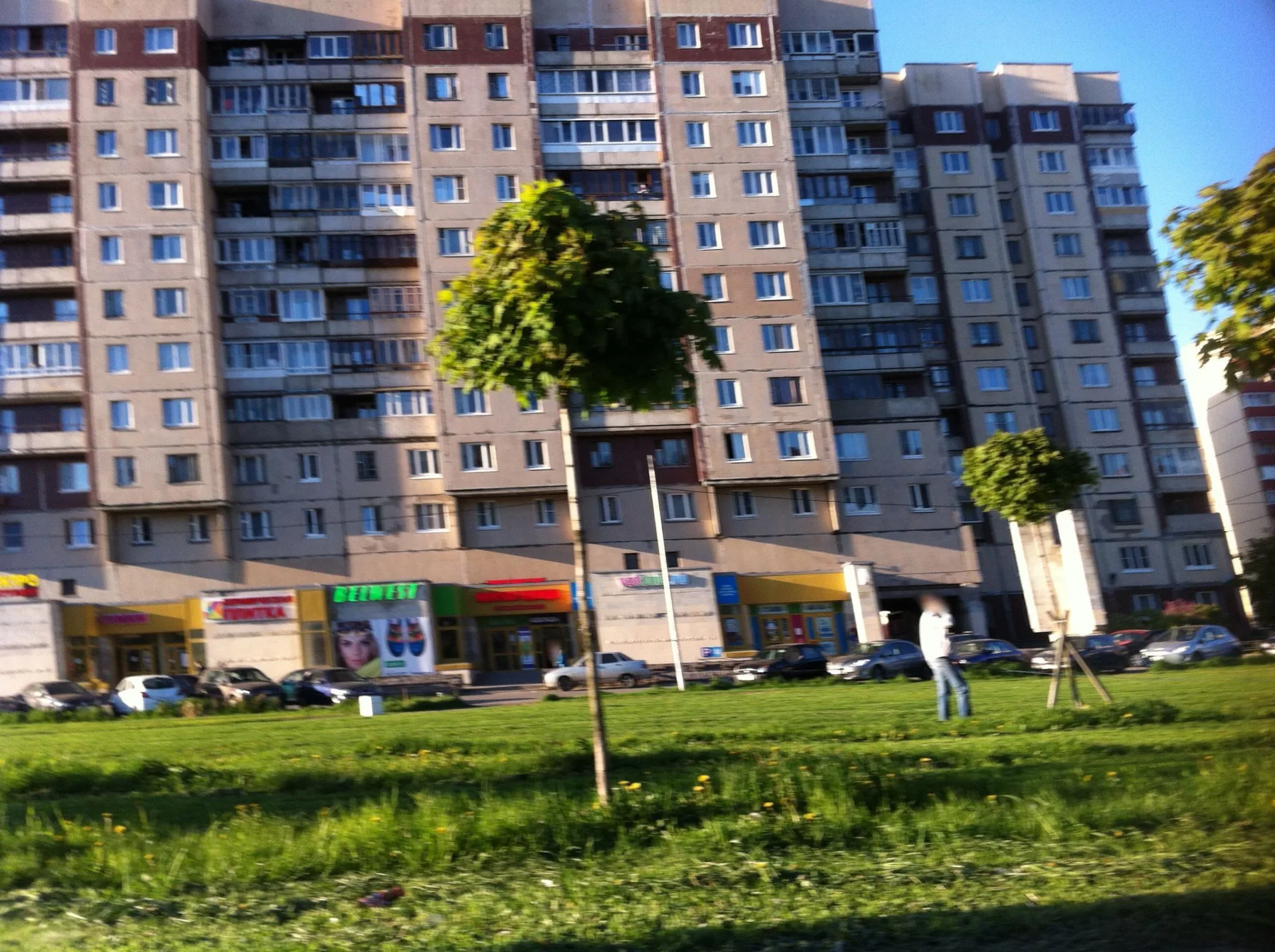 Маршрут «Ульянка — Сосновая Поляна», 0,7 км
