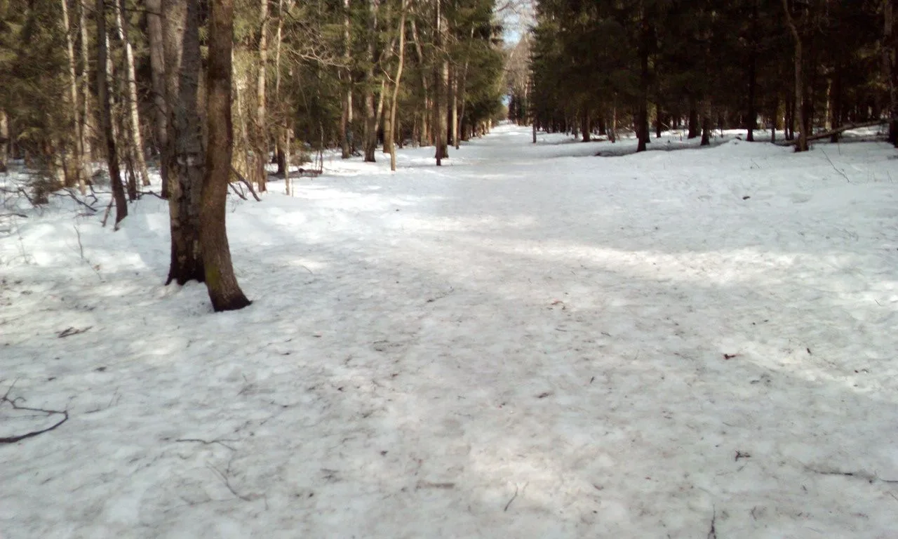 Маршрут «Ульяновский лес», 21,4 км