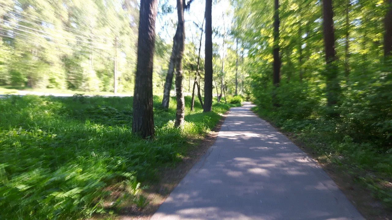 Маршрут «Ушково — Дюны», 10,4 км