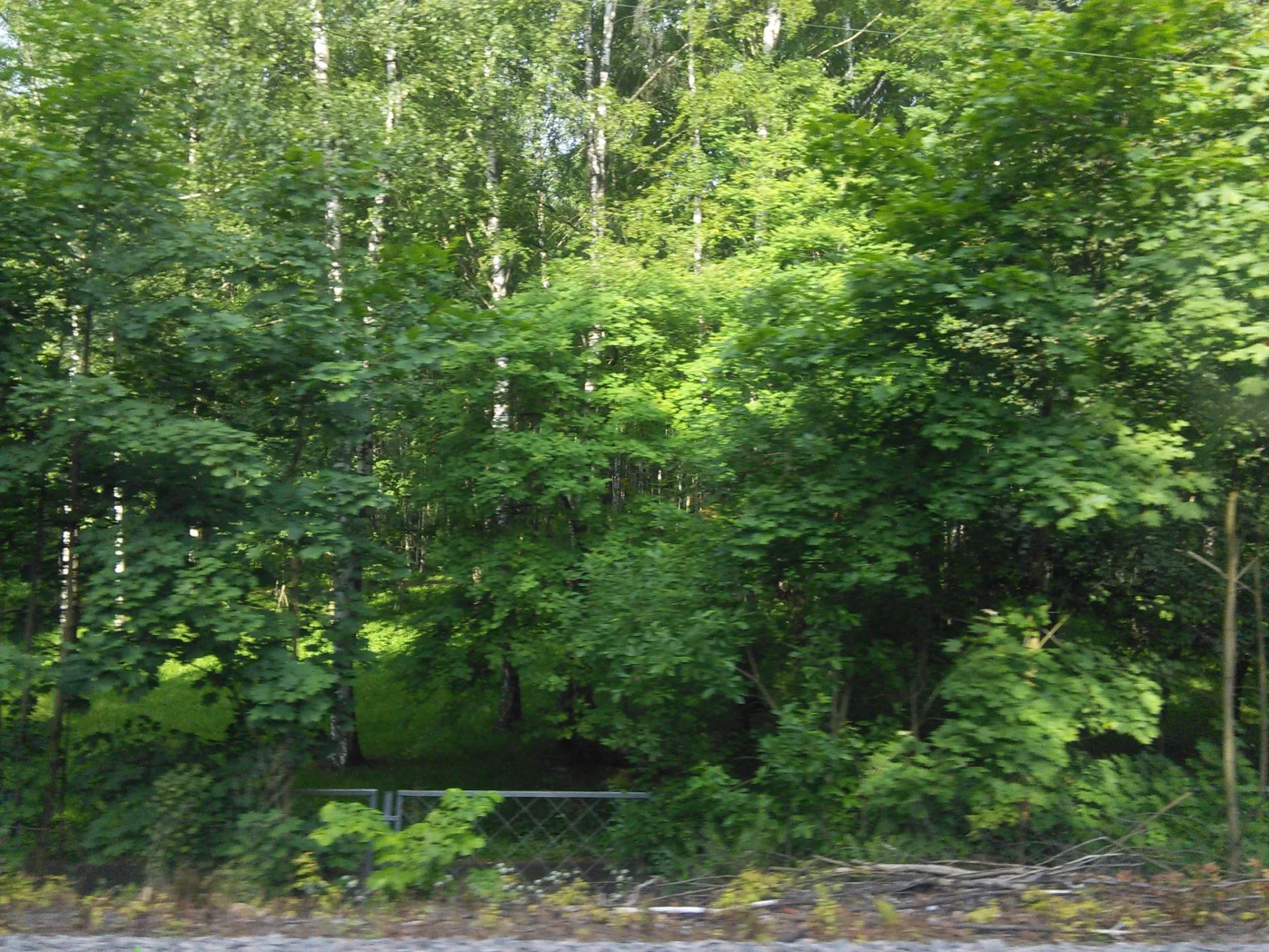 Маршрут «Уж парк», 1,2 км