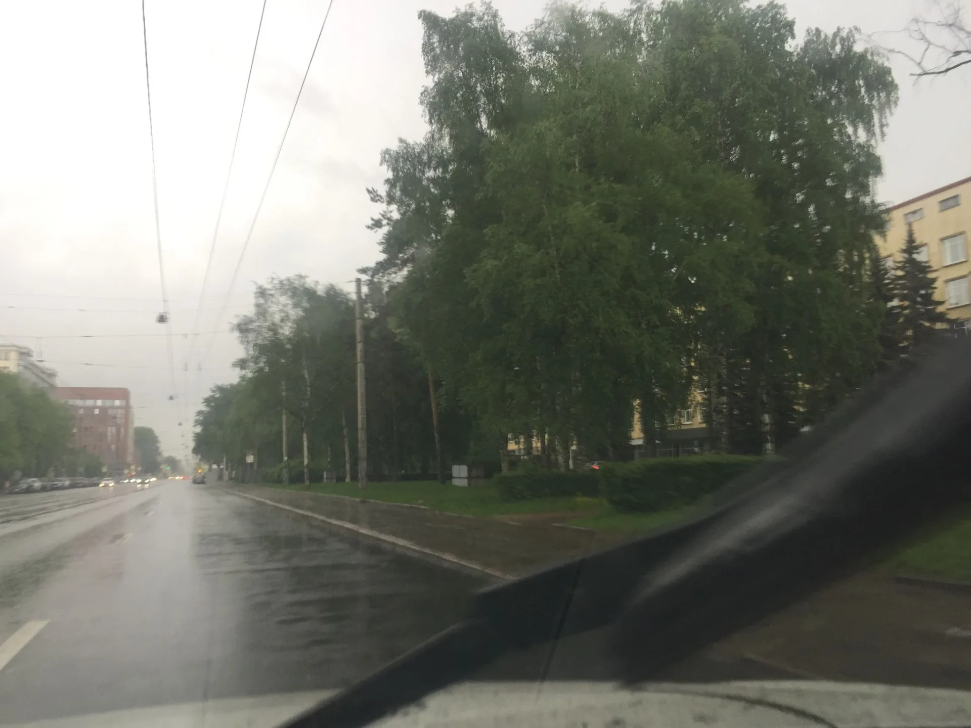 Маршрут «Васильевский Остров — Сосновка»