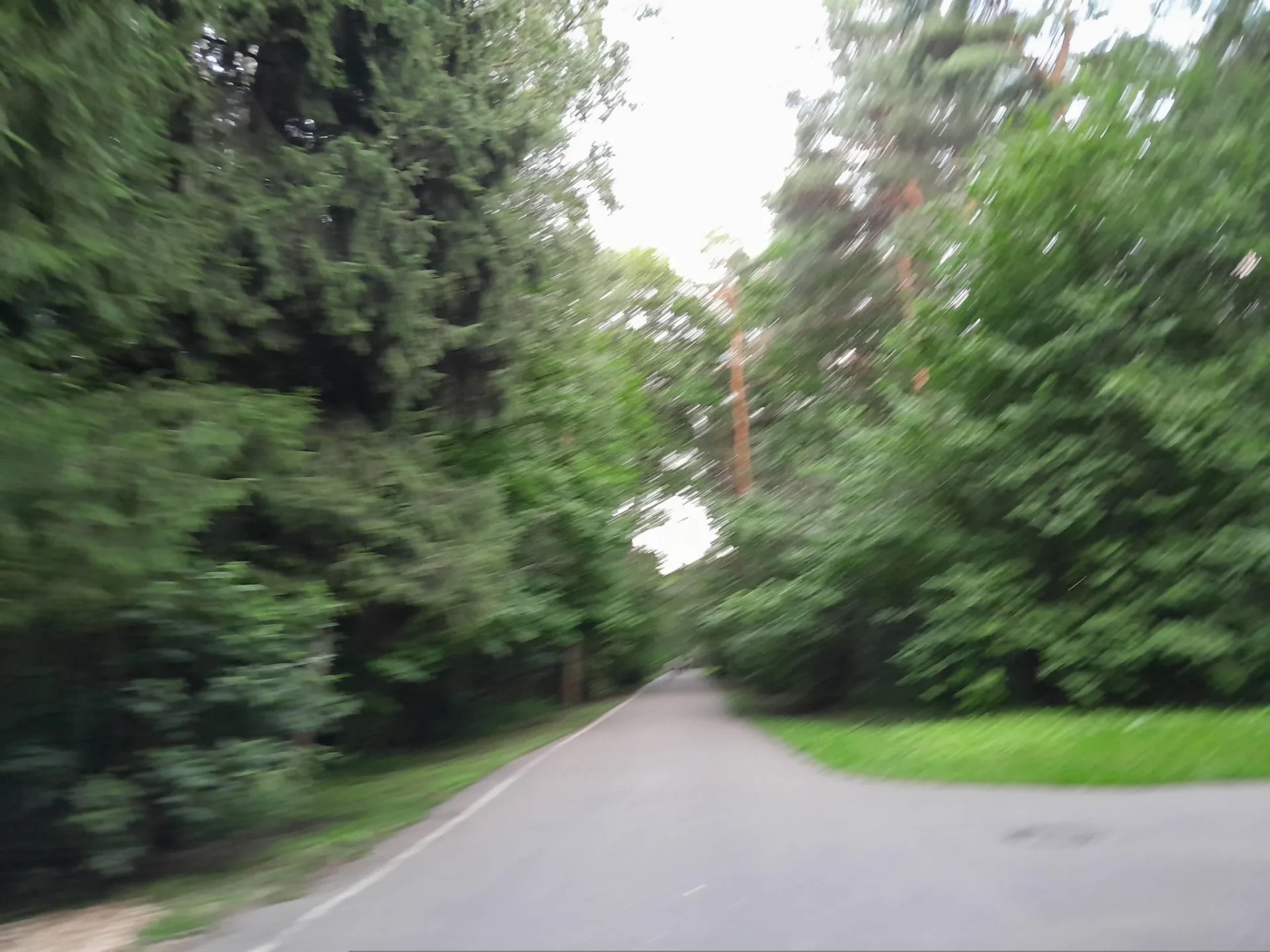 Маршрут «ВДНХ», 8,3 км