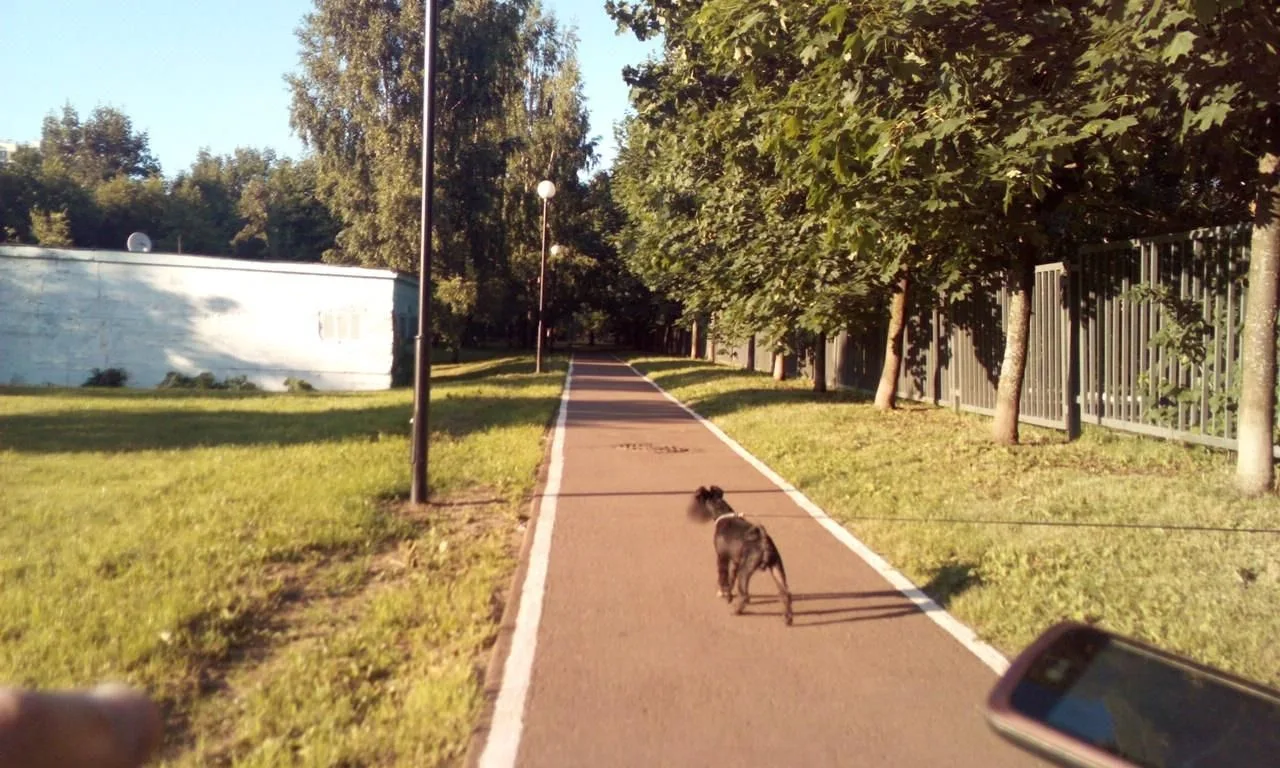 Маршрут «Вдоль Озёрной», 1,4 км
