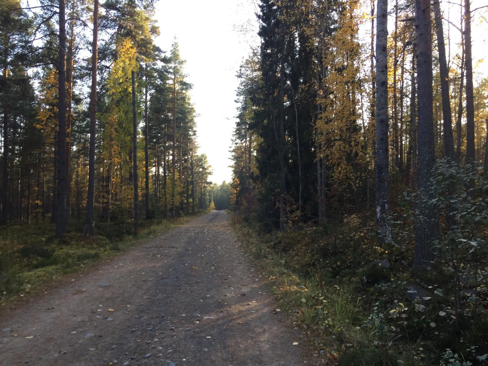 Маршрут «Веломаршрут на 117,8 км», 45,6 км
