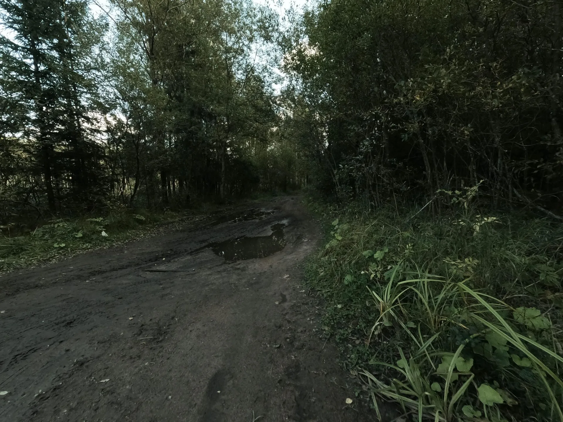 Маршрут «Веломаршрут на 119,1 км», 36,0 км
