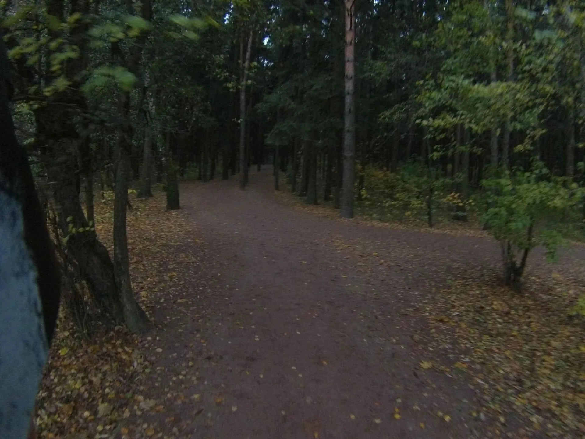 Маршрут «Вокруг Солнцева», 12,0 км