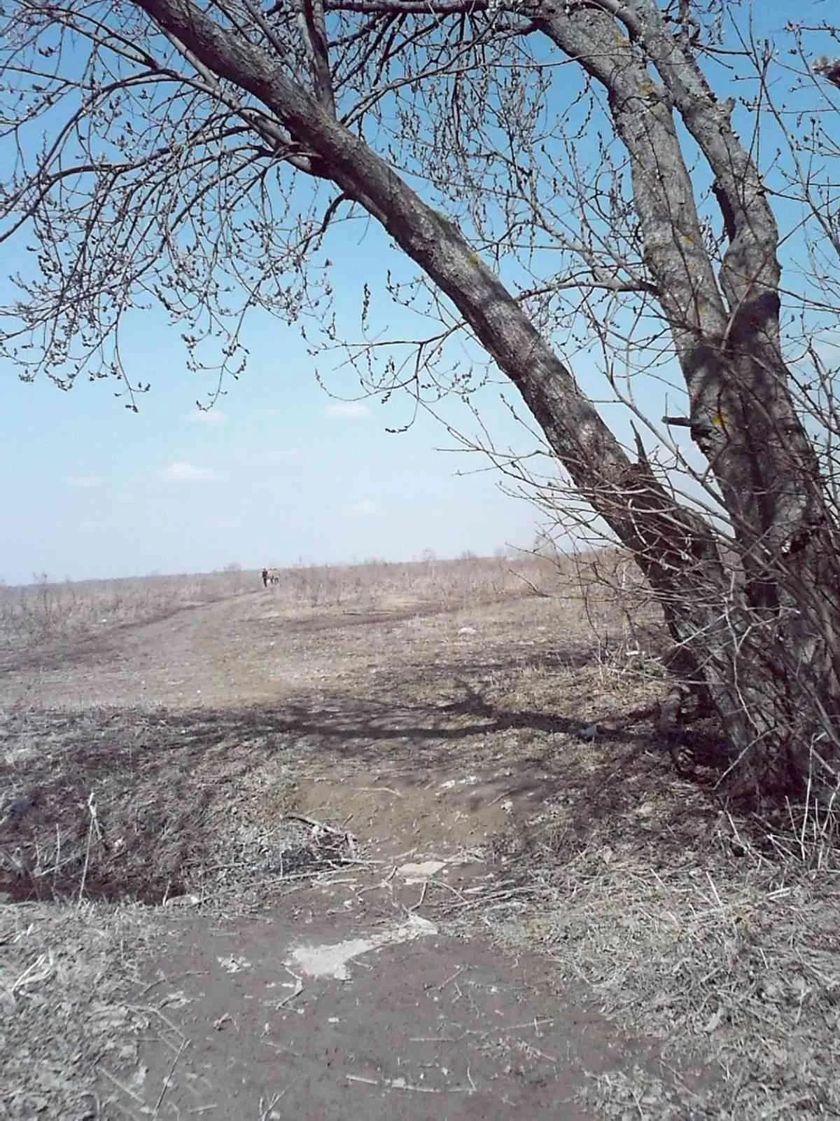 Маршрут «Вокруг Битцы», 18,2 км