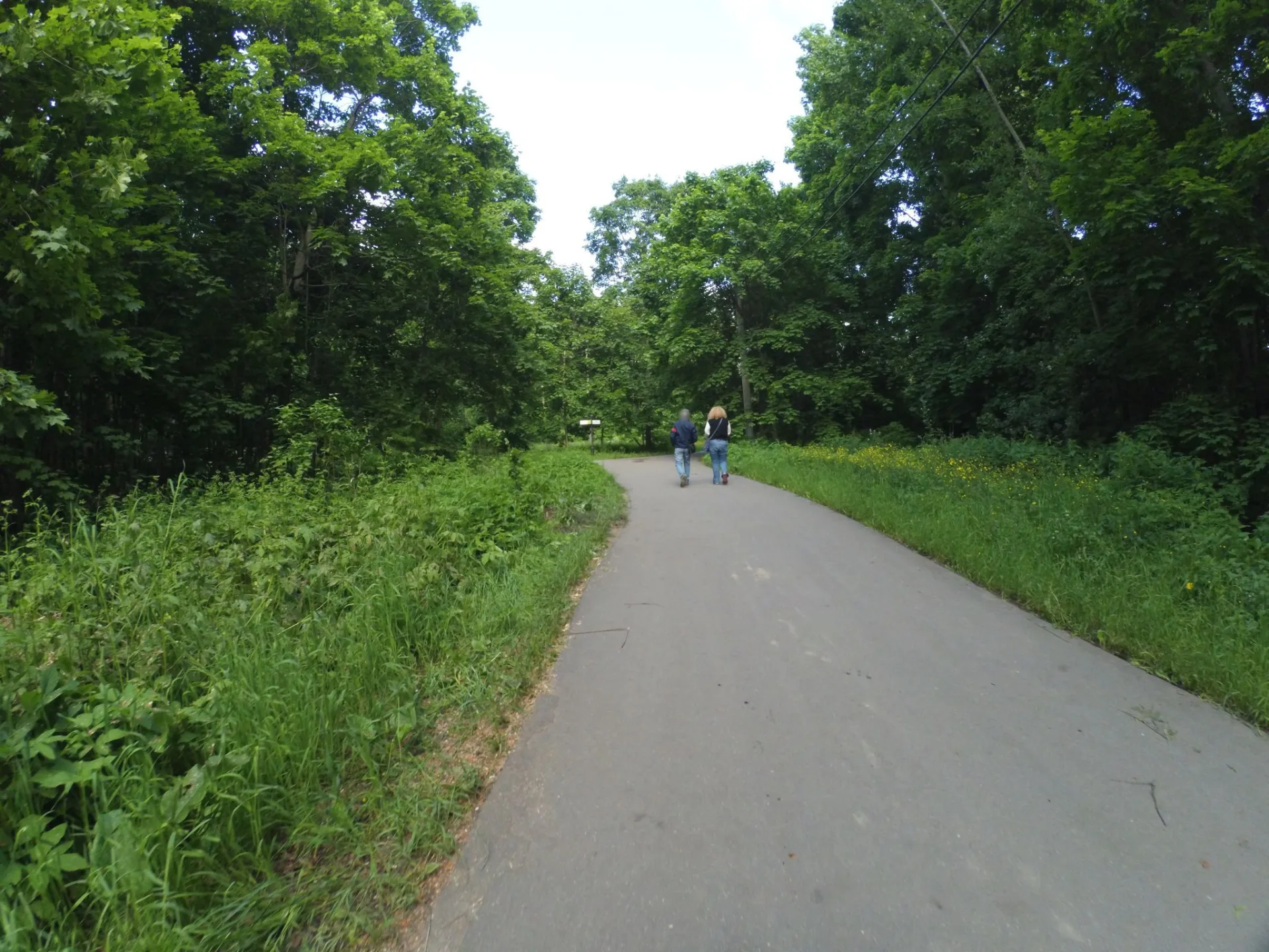 Маршрут «Вокруг Сокола», 2,5 км