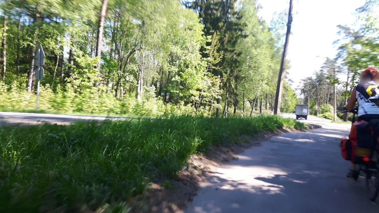 Маршрут «Вишневка — Санкт-Петербург», 51,5 км