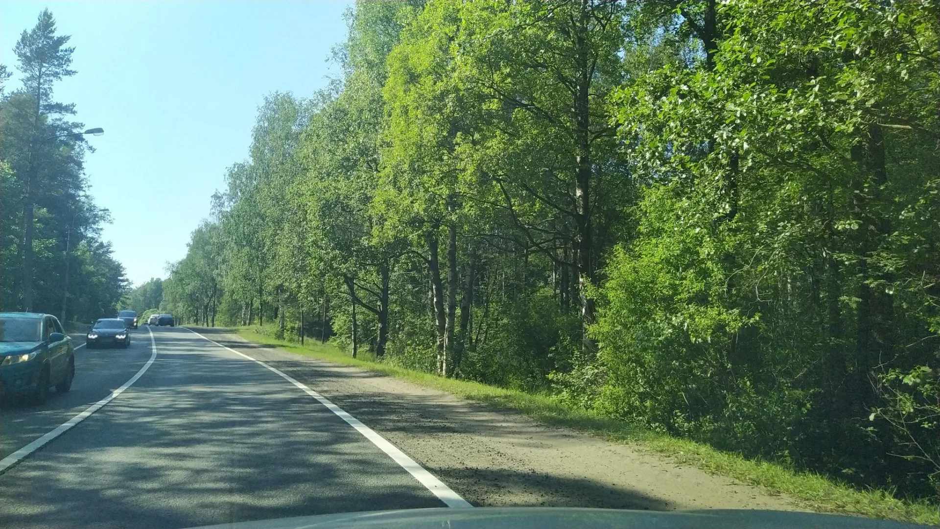 Маршрут «Вишневка — Санкт-Петербург», 55,5 км