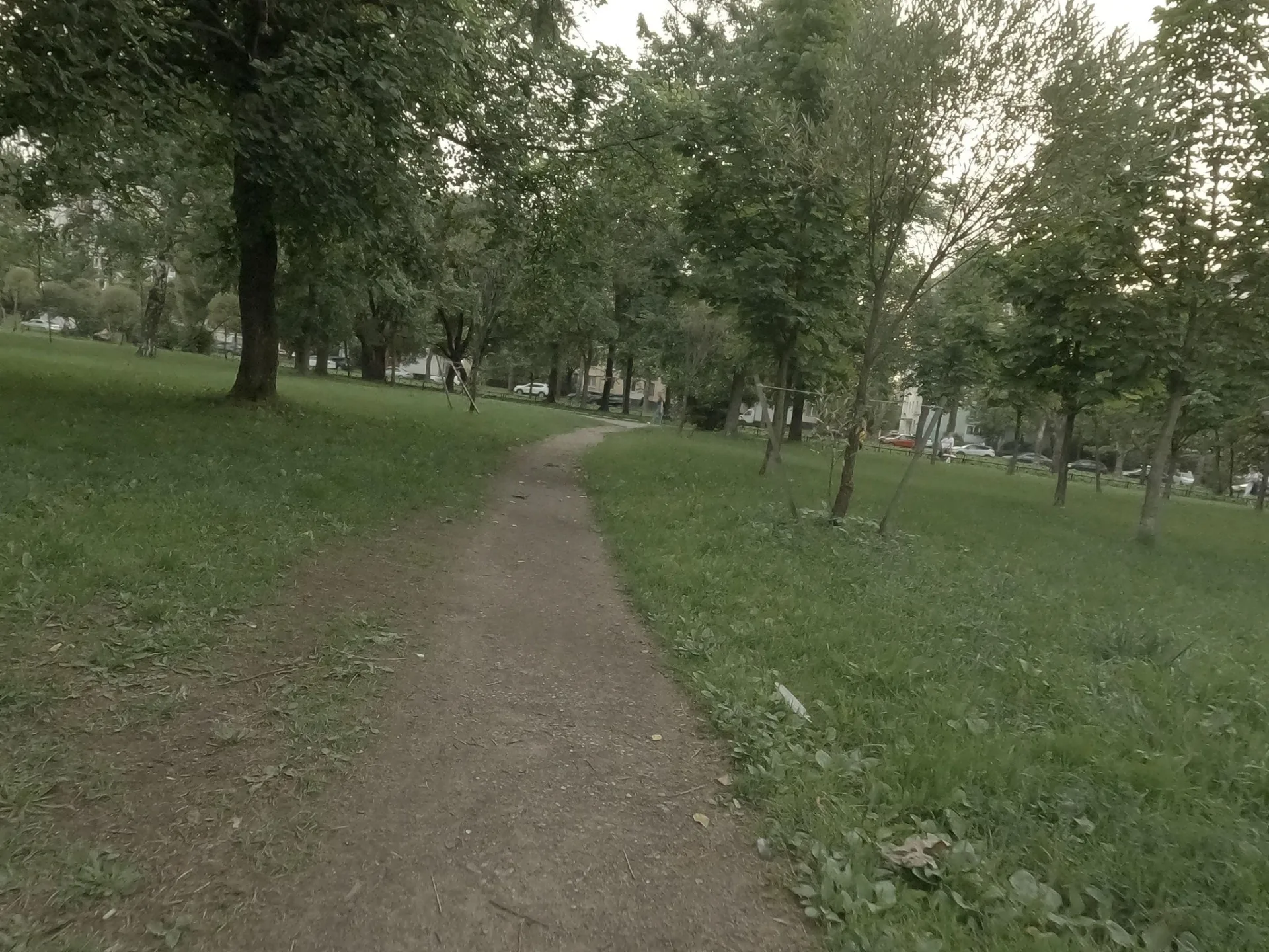 Маршрут «Вокруг Дачного», 0,0 км