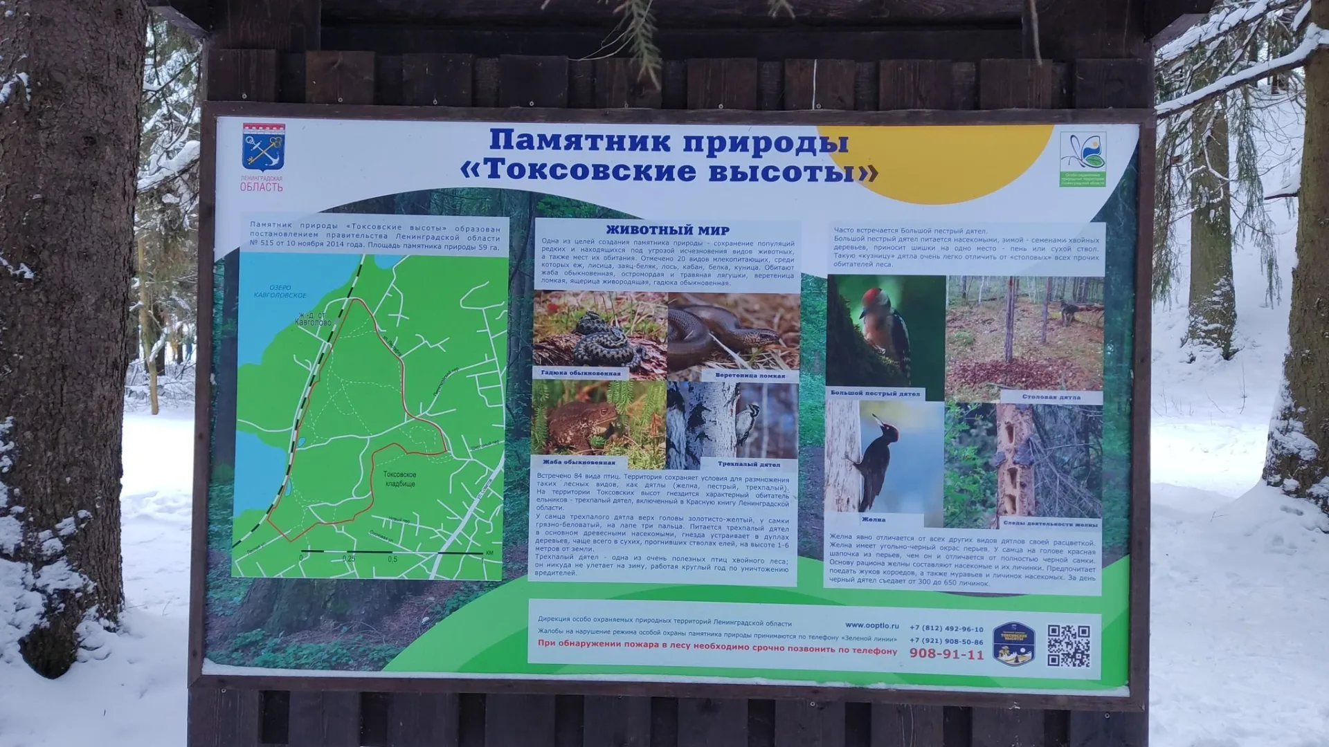 Маршрут «Вокруг Кирконкюля», 3,3 км