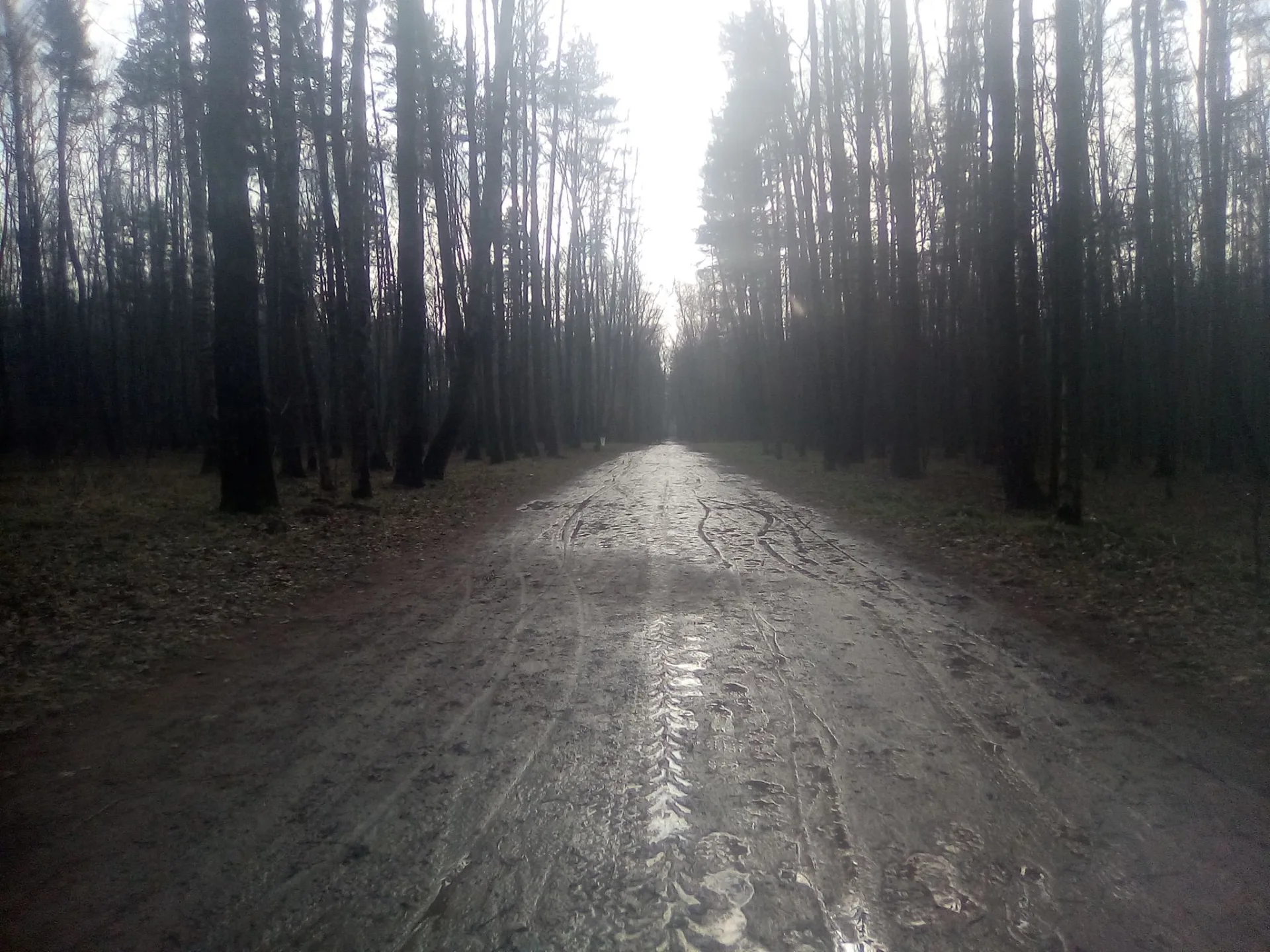 Маршрут «Вокруг Мещёрского», 14,3 км