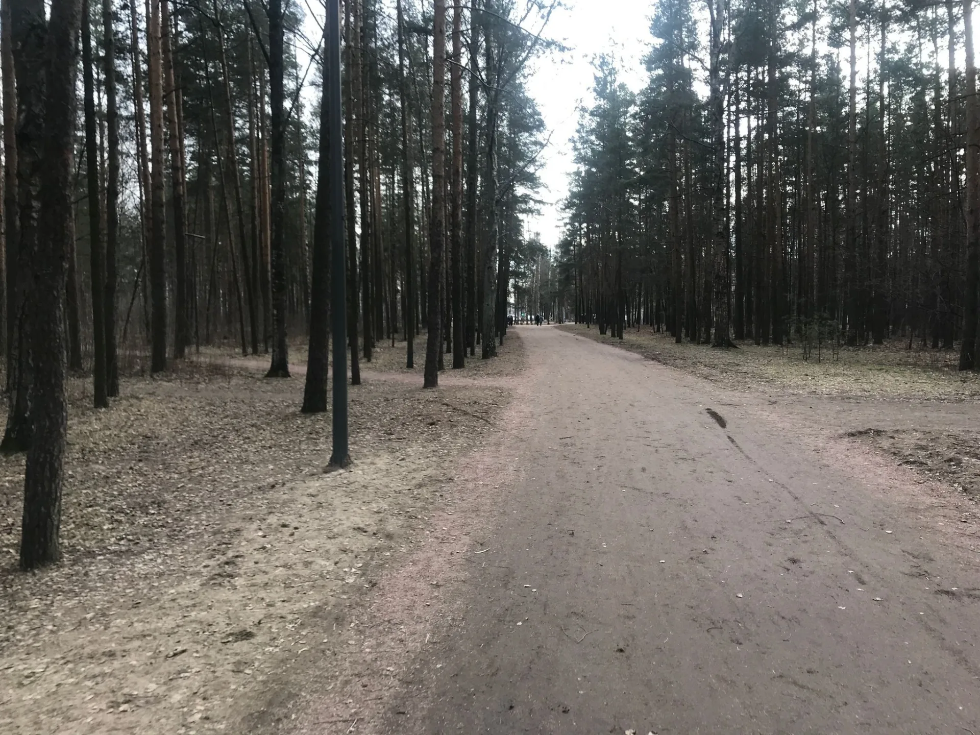 Маршрут «Вокруг Озерков», 12,1 км