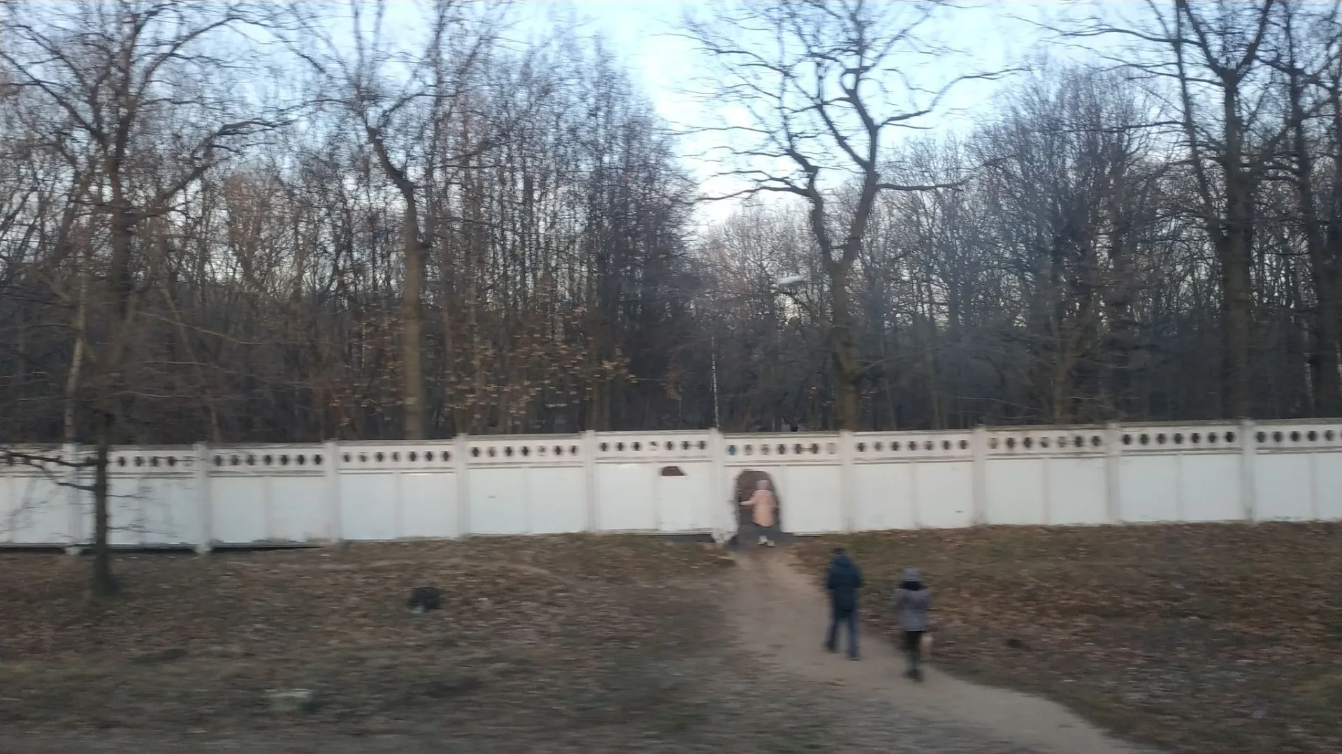 Маршрут «Вокруг Петровско-Разумовского», 0,1 км
