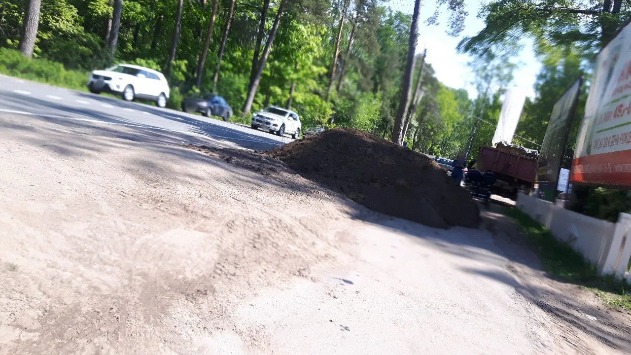 Маршрут «Вокруг Репино», 8,0 км