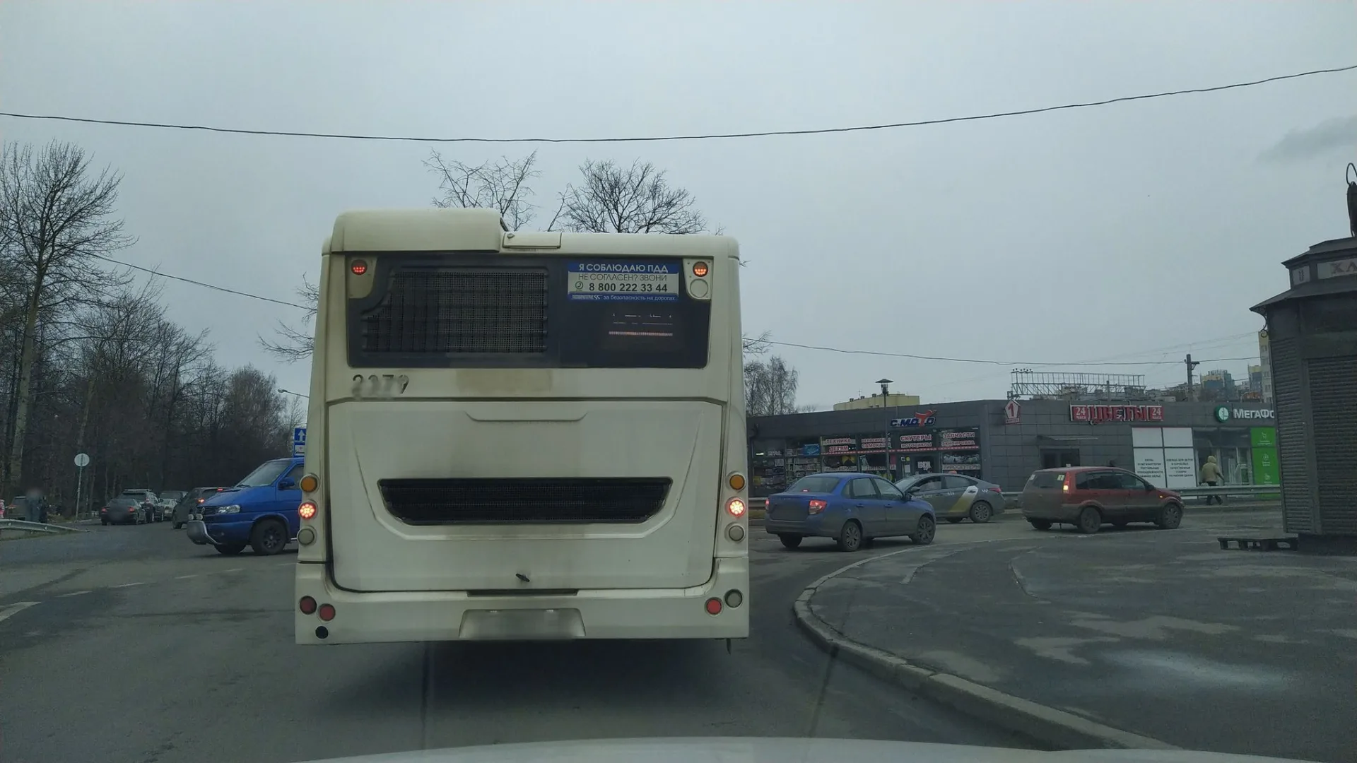 Маршрут «Вокруг Сосновки», 2,1 км