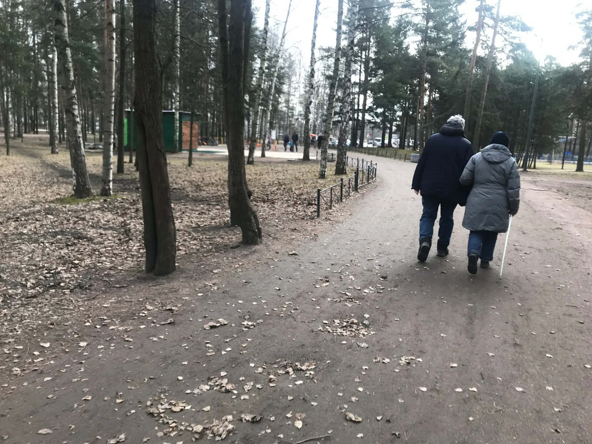 Маршрут «Вокруг Сосновки», 5,3 км