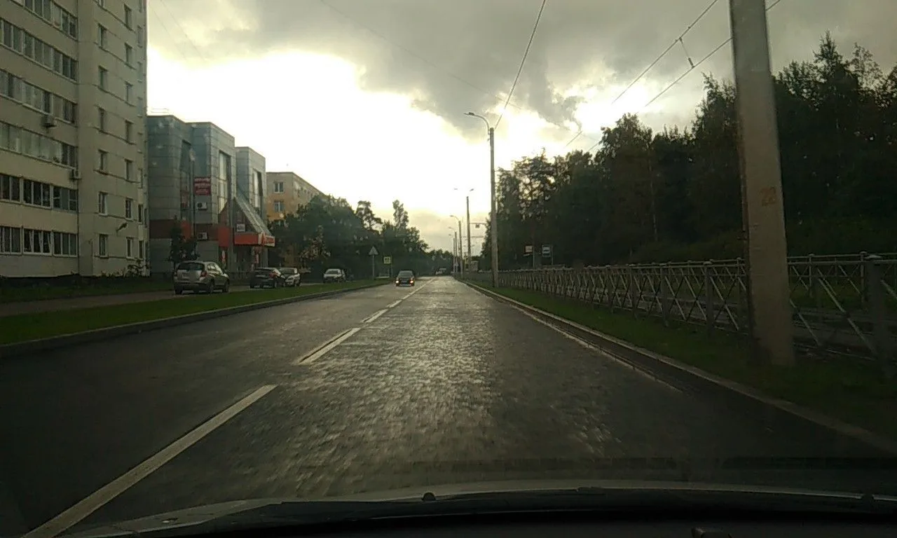 Маршрут «Вокруг Сосновой Поляны», 0,1 км